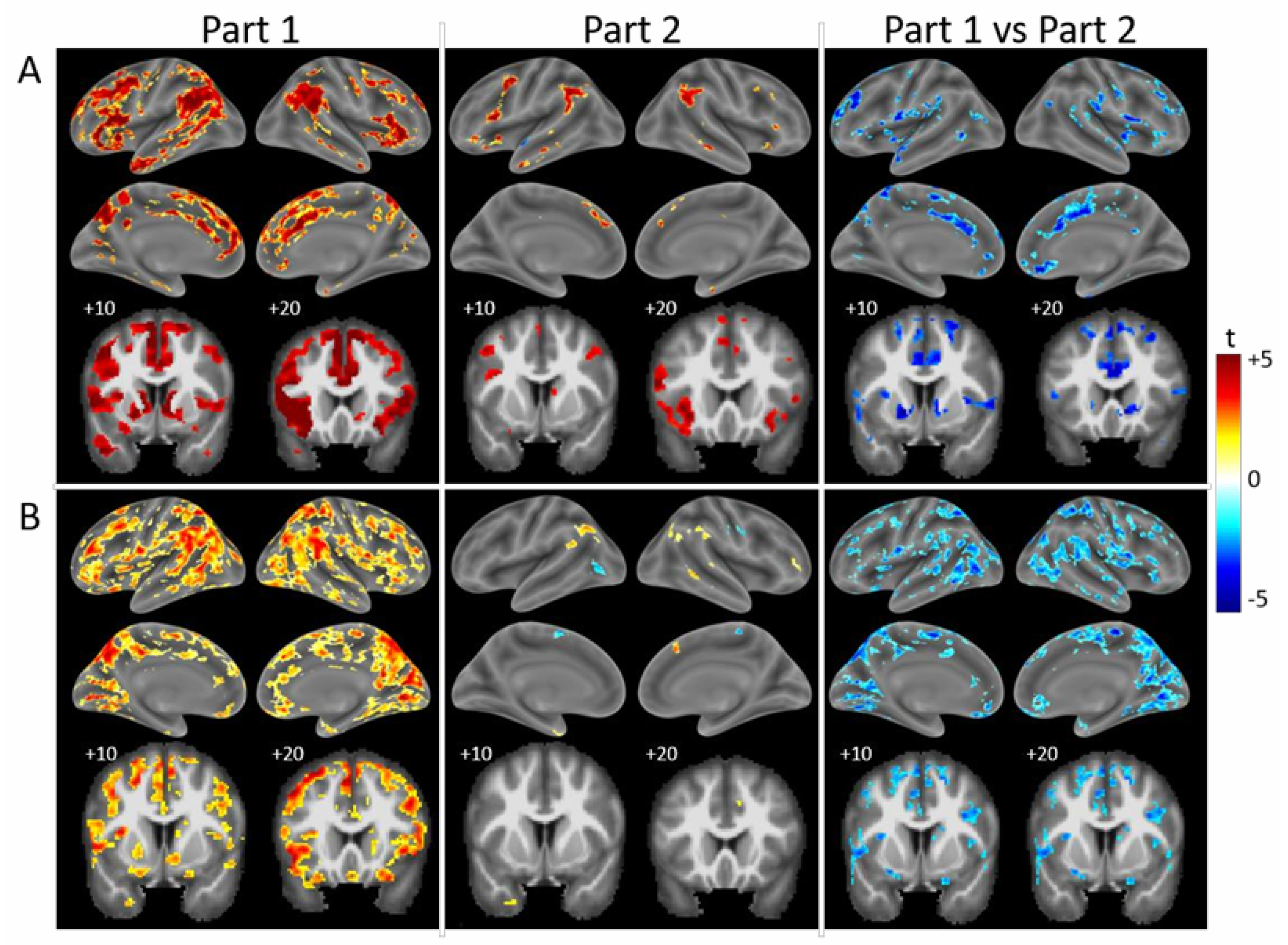 Brainsci 15 00635 g003