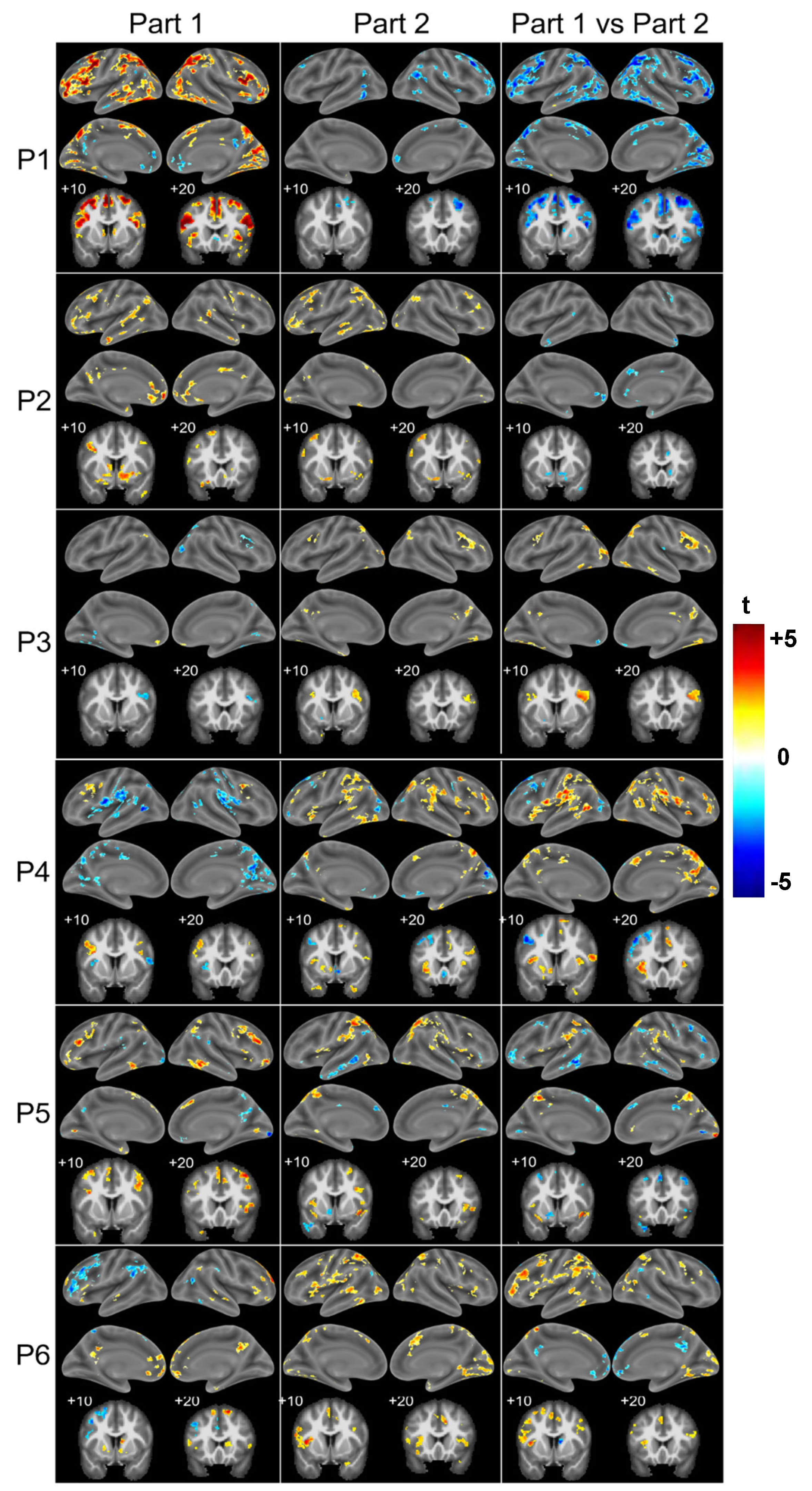 Brainsci 15 00635 g005
