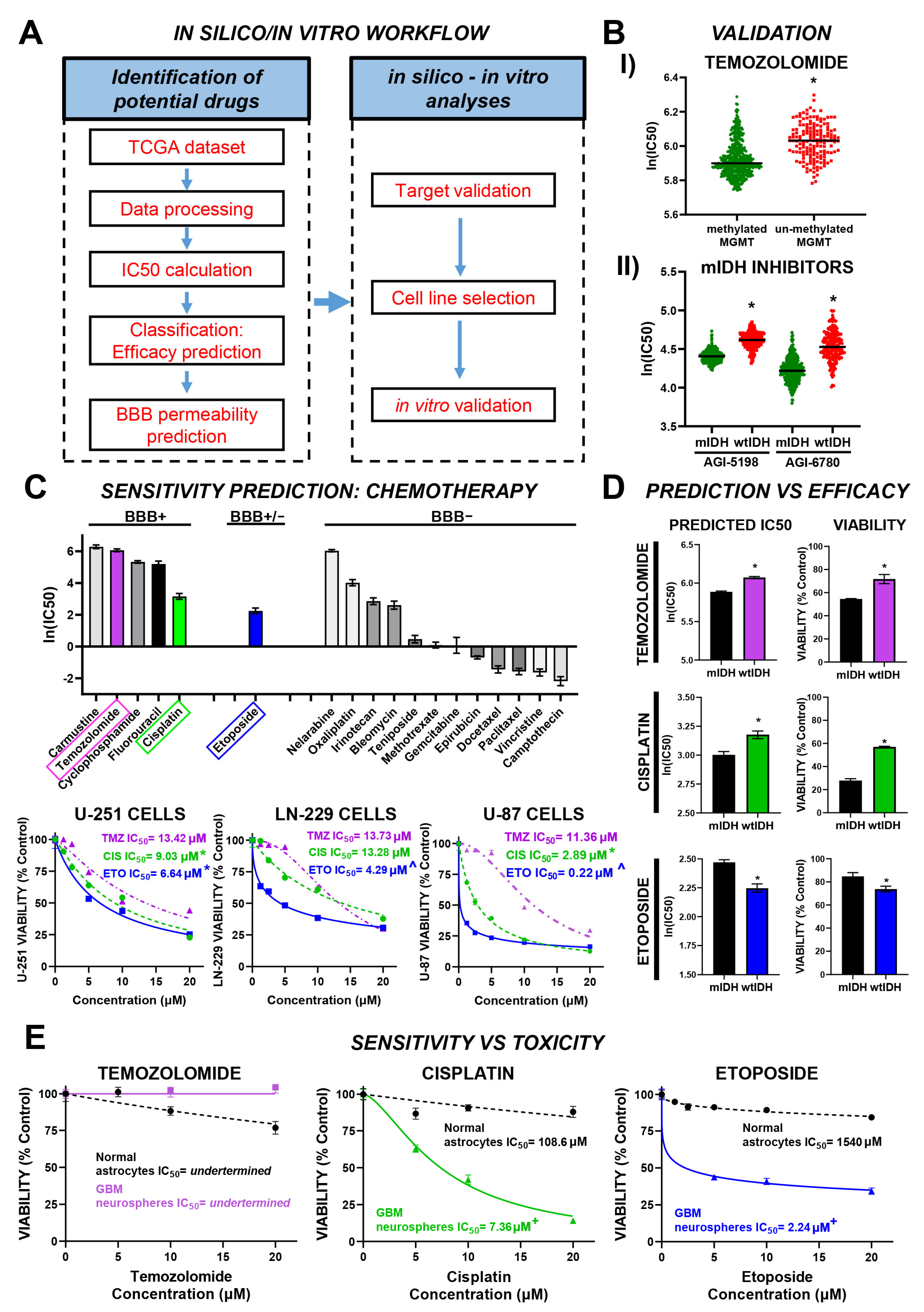 Brainsci 15 00637 g001