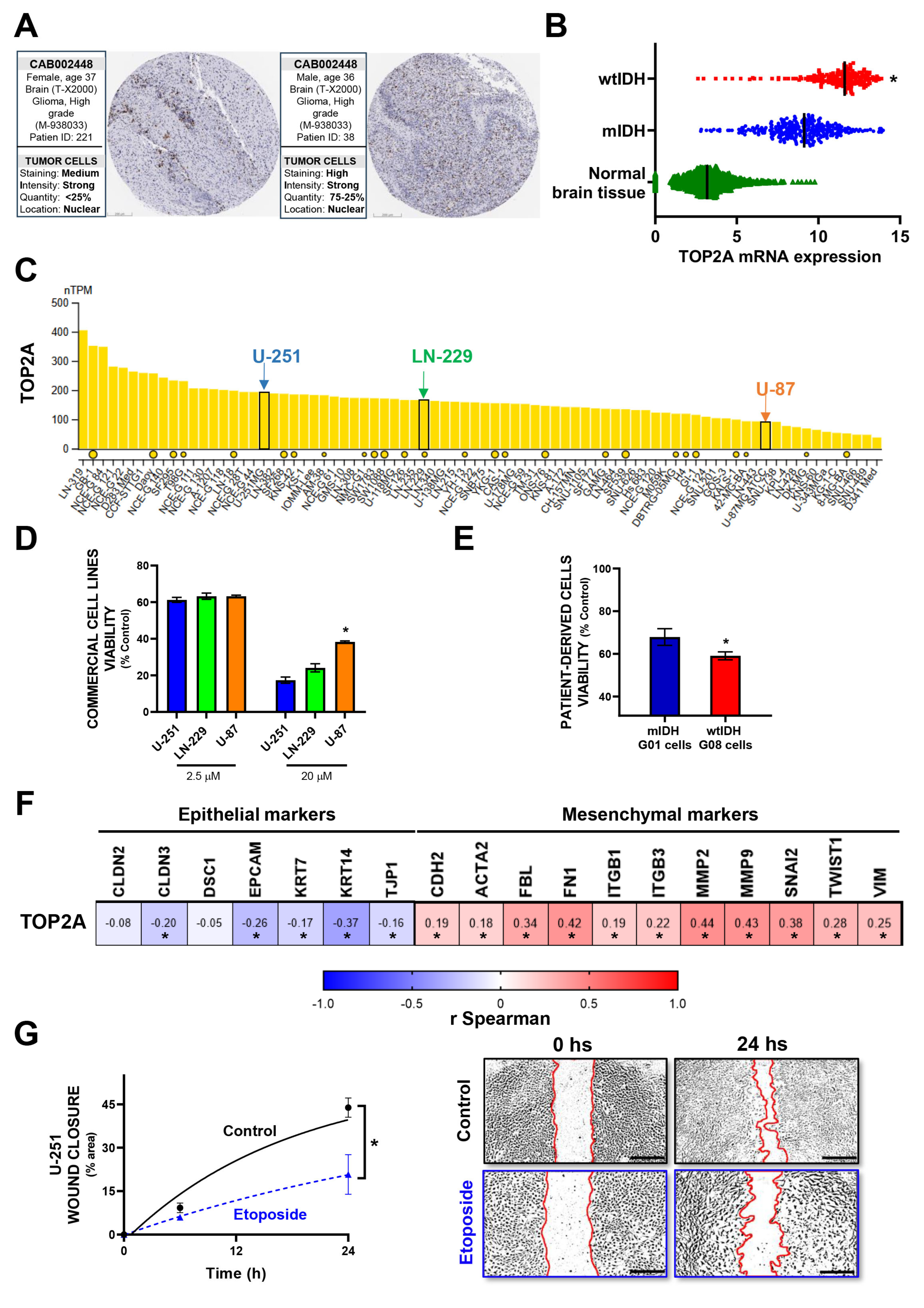 Brainsci 15 00637 g002