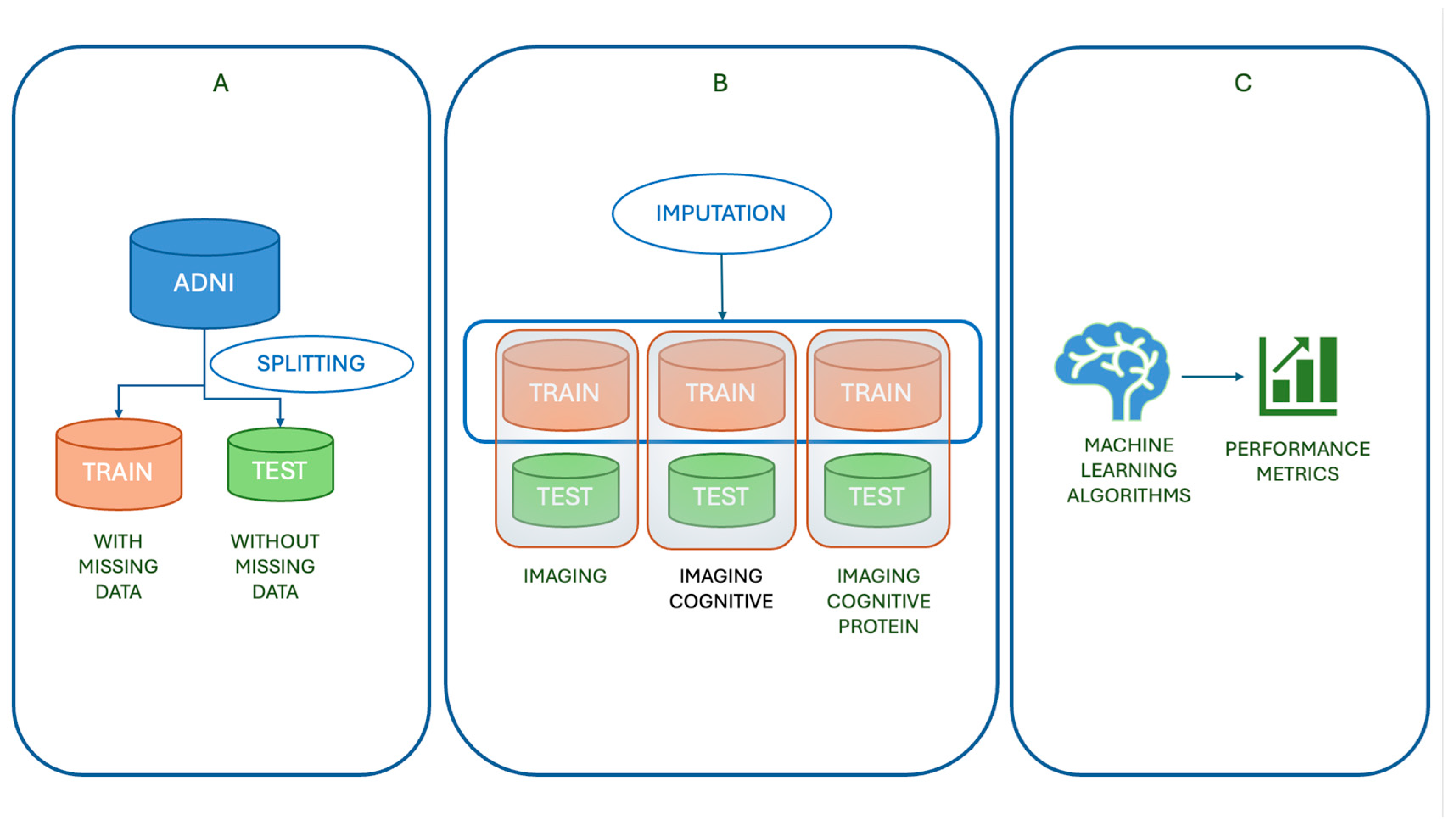 Brainsci 15 00639 g001