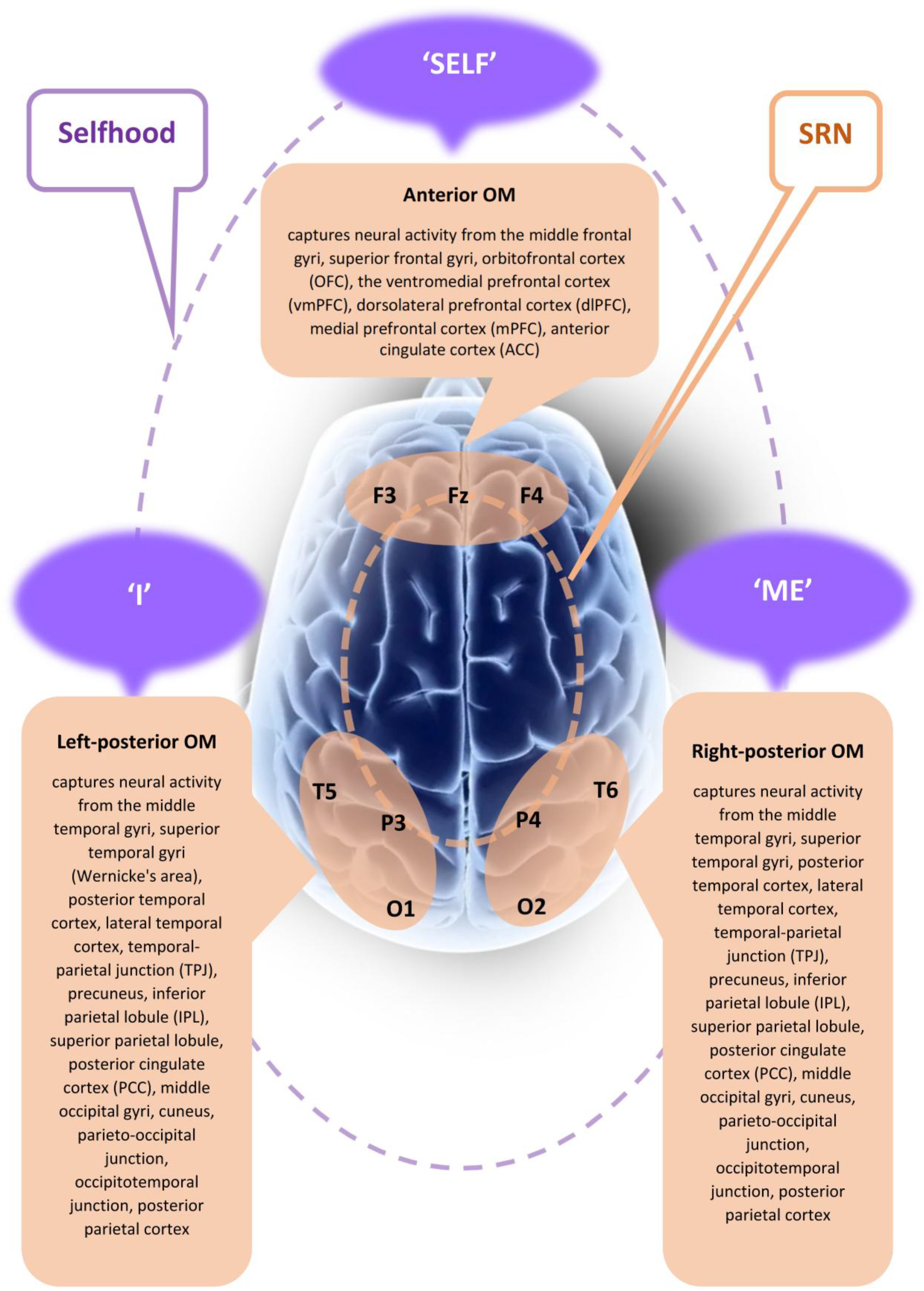 Brainsci 15 00640 g001 Brainsci 15 00640 g001