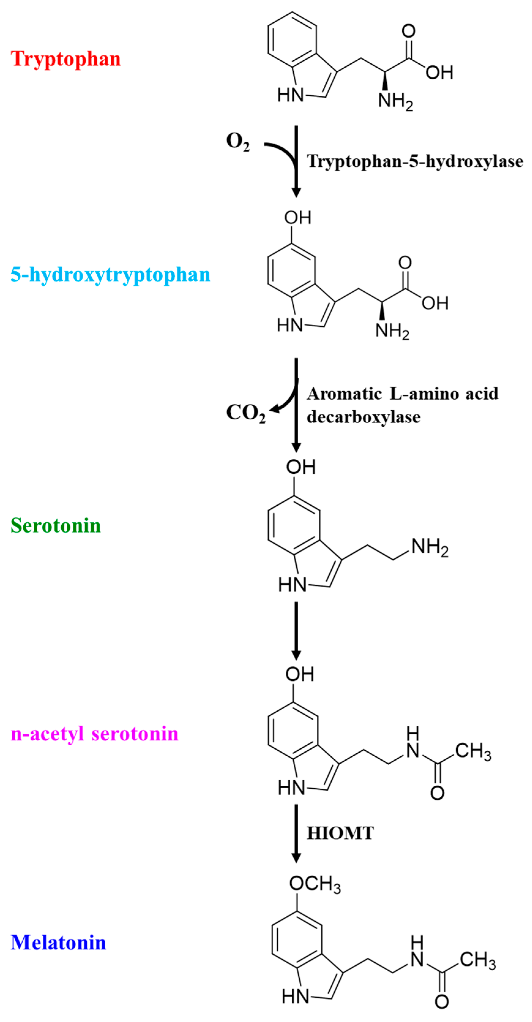 Brainsci 15 00641 g002
