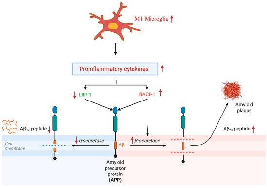 Sleep Deprivation and Alzheimer's Disease: A Review of the