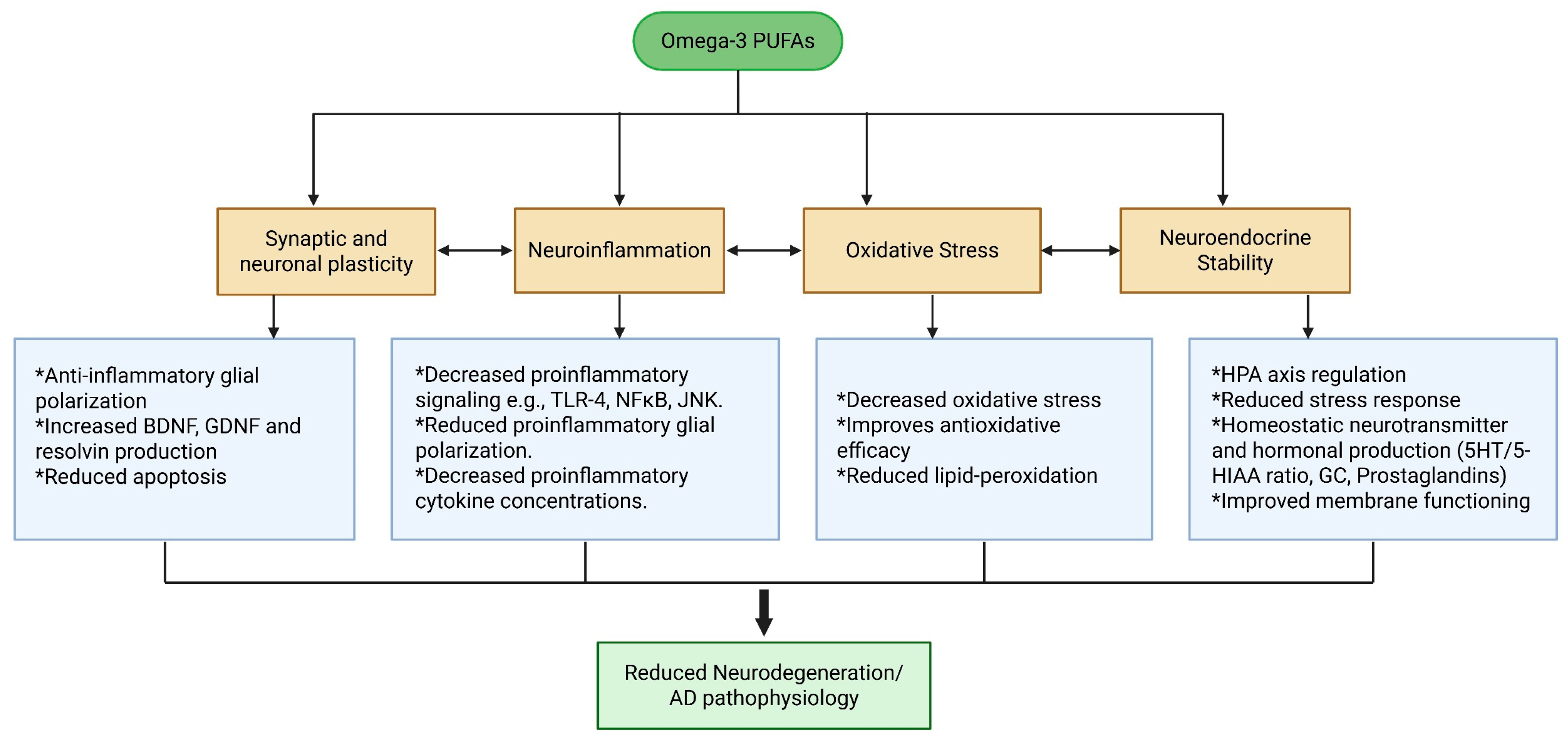 Brainsci 15 00641 g006