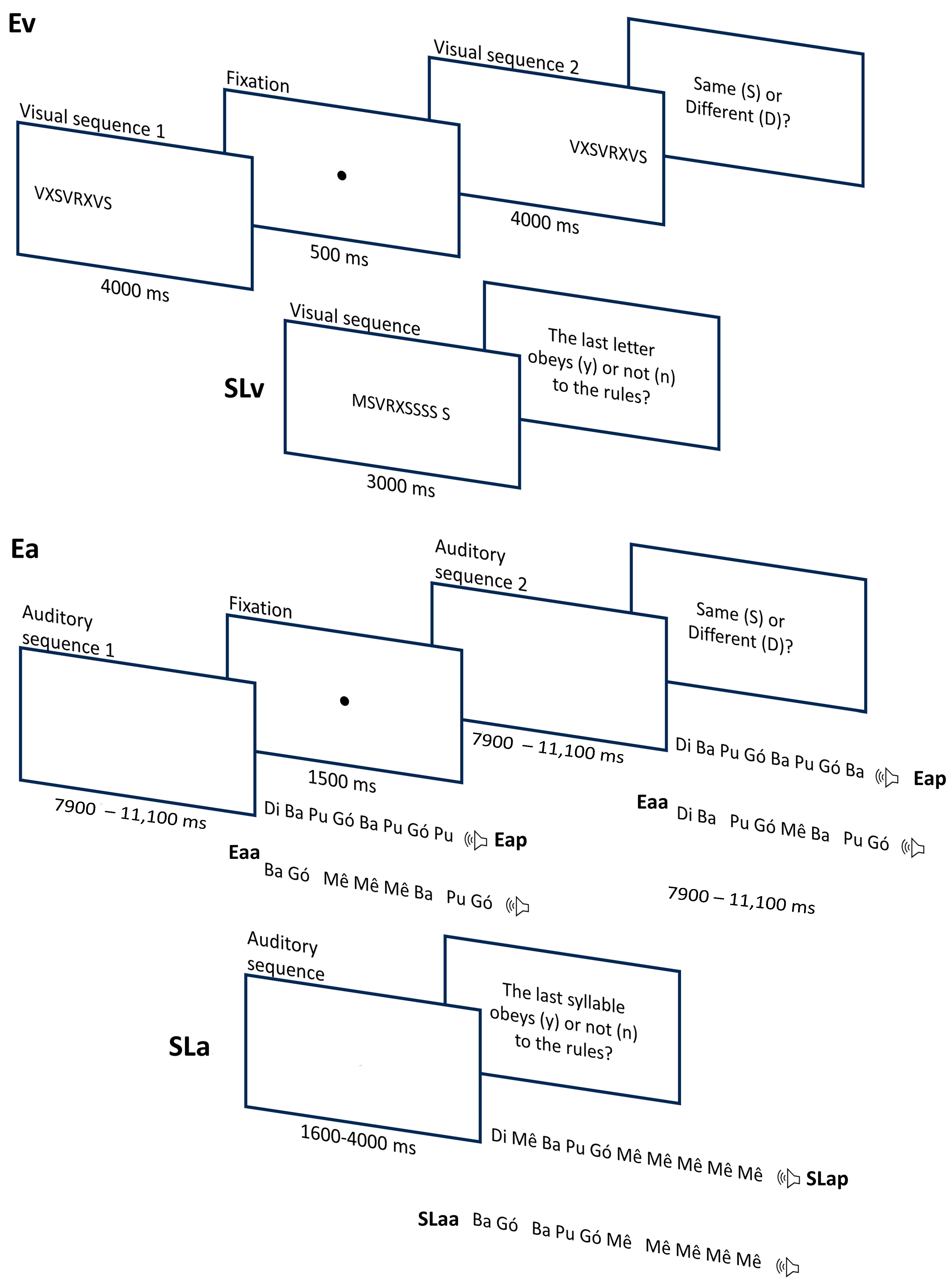 Brainsci 15 00642 g001