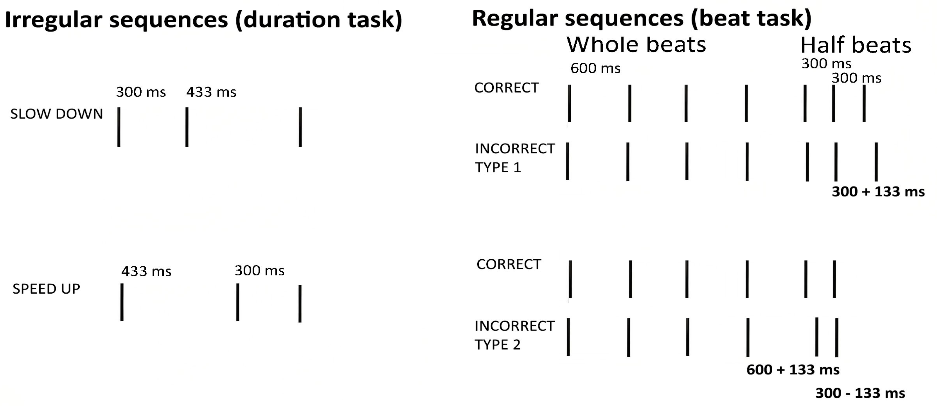Brainsci 15 00642 g002