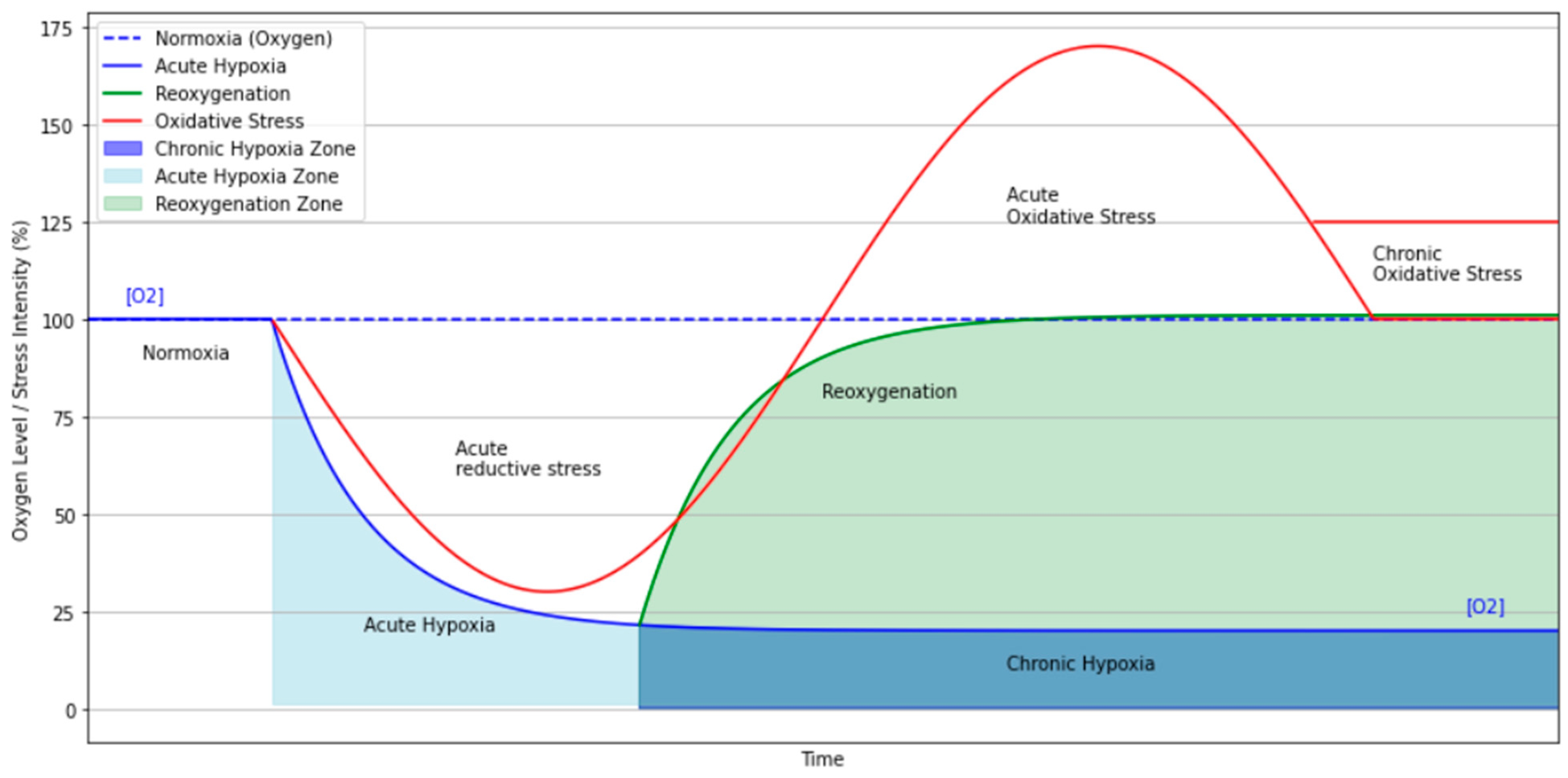 Brainsci 15 00643 g001 Brainsci 15 00643 g001