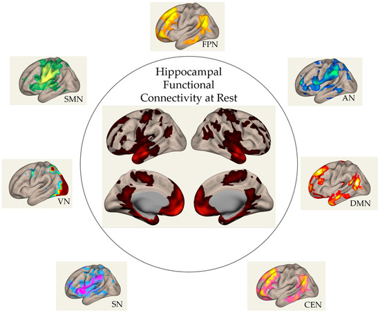 せあ 専用ページ 2024 Kawasaki Ninja ZX-4RR 40th Anniversary Edition ABS