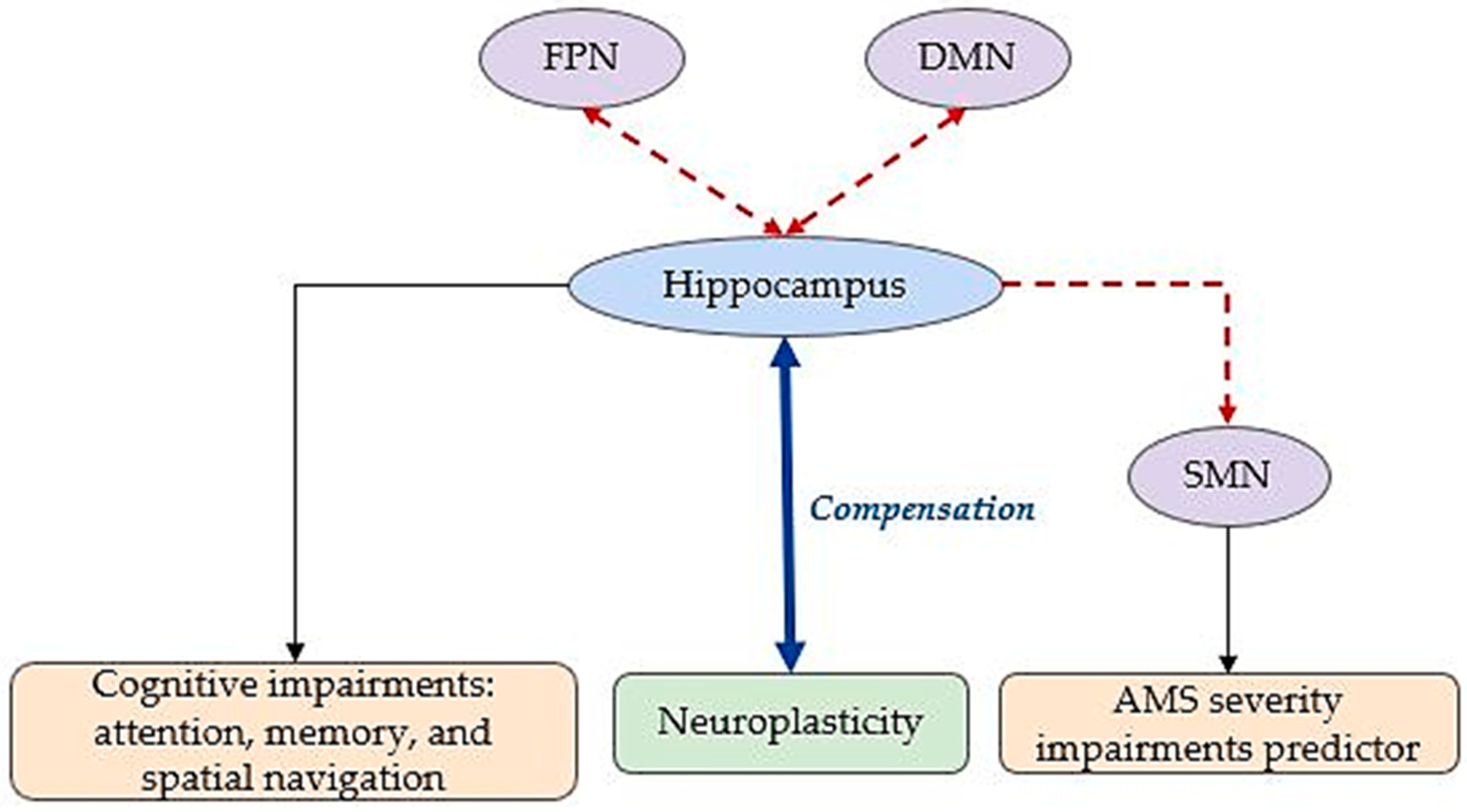 Brainsci 15 00643 g005 Brainsci 15 00643 g005
