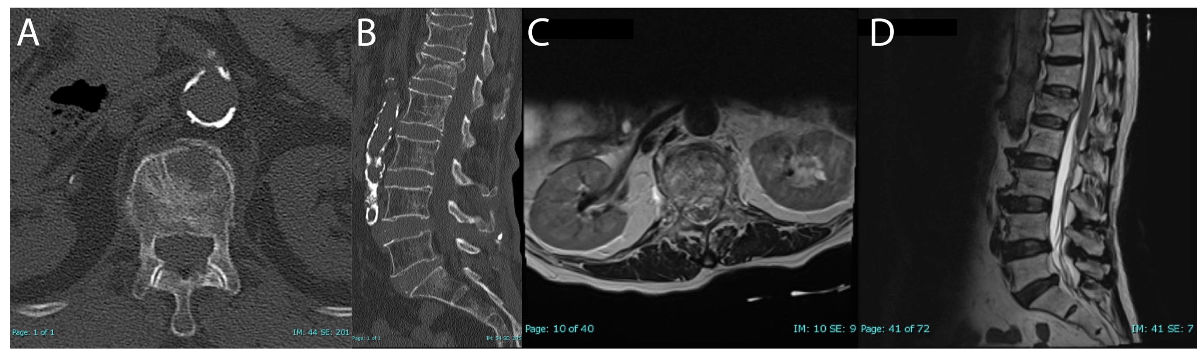 Brainsci 15 00659 g002