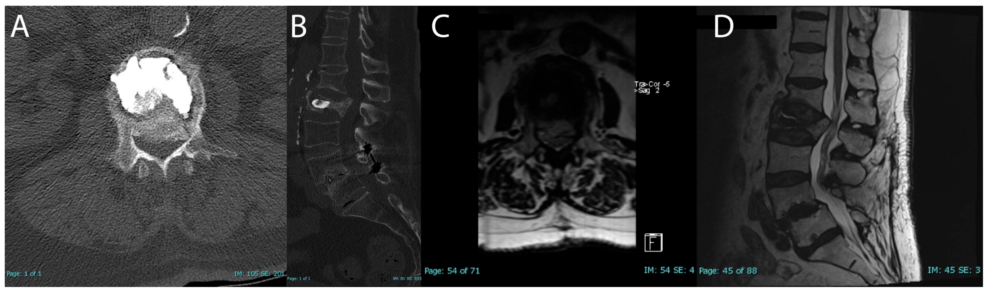 Brainsci 15 00659 g004