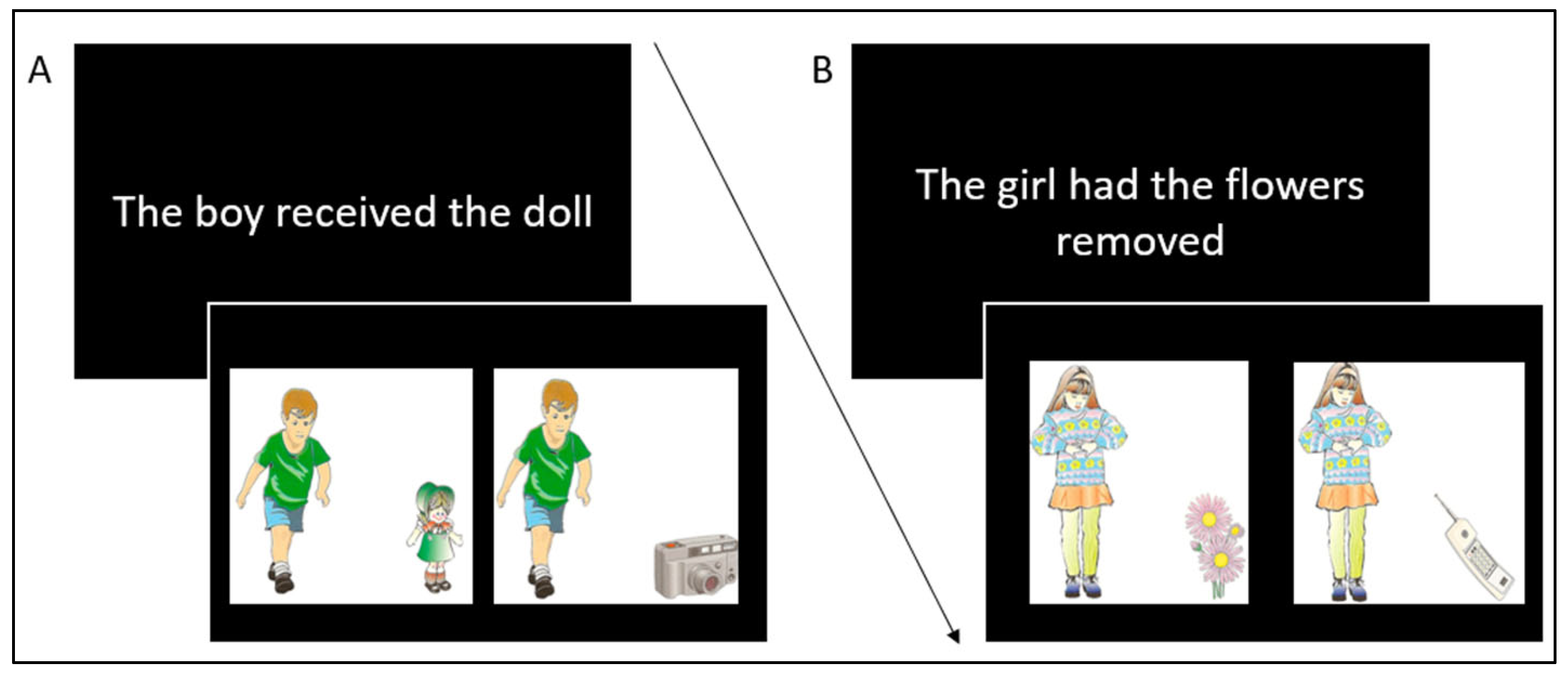 Brainsci 15 00662 g001