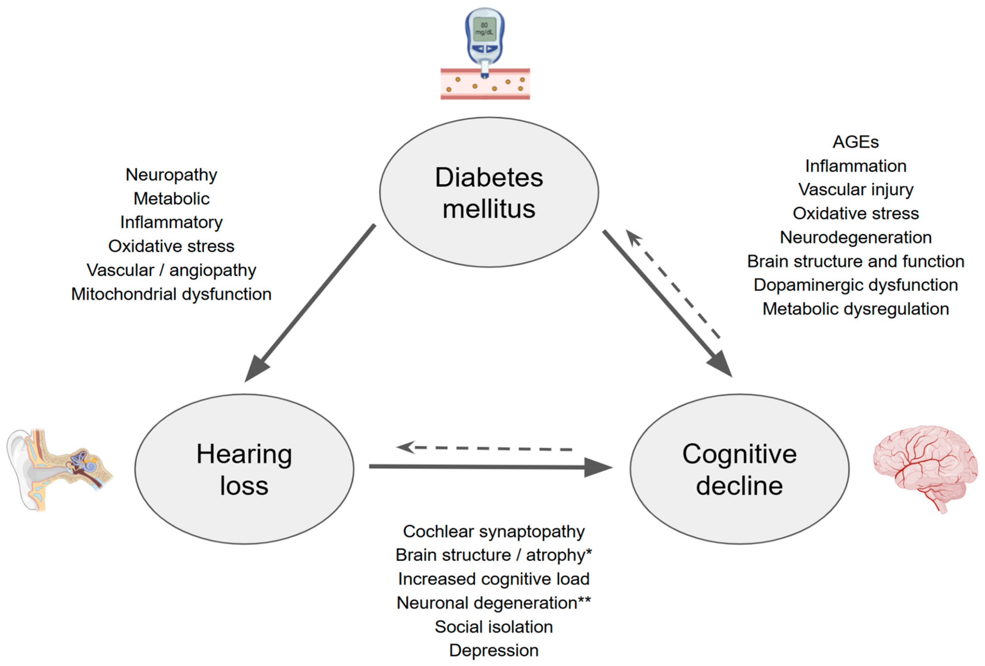 Brainsci 15 00669 g001