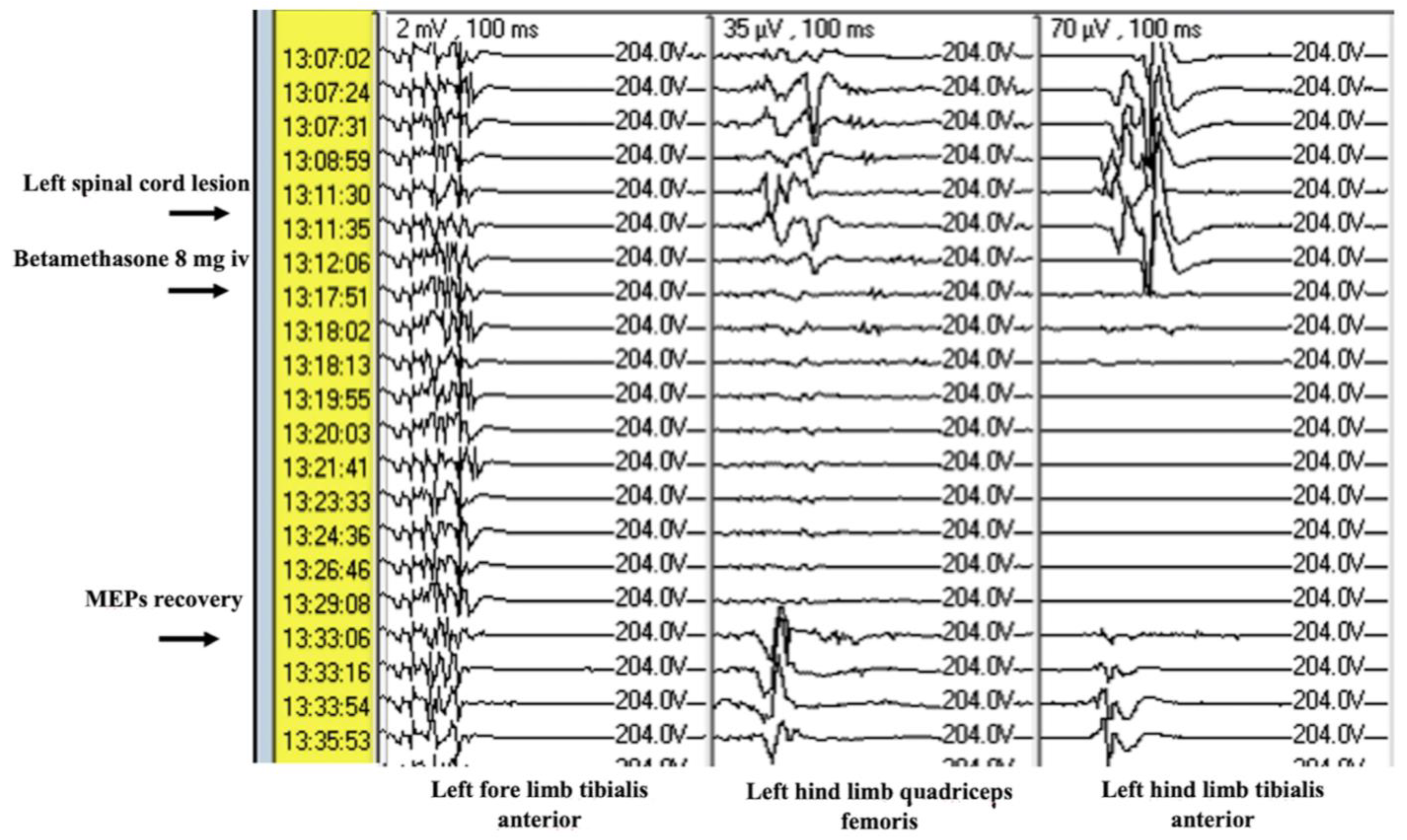 Brainsci 15 00670 g006
