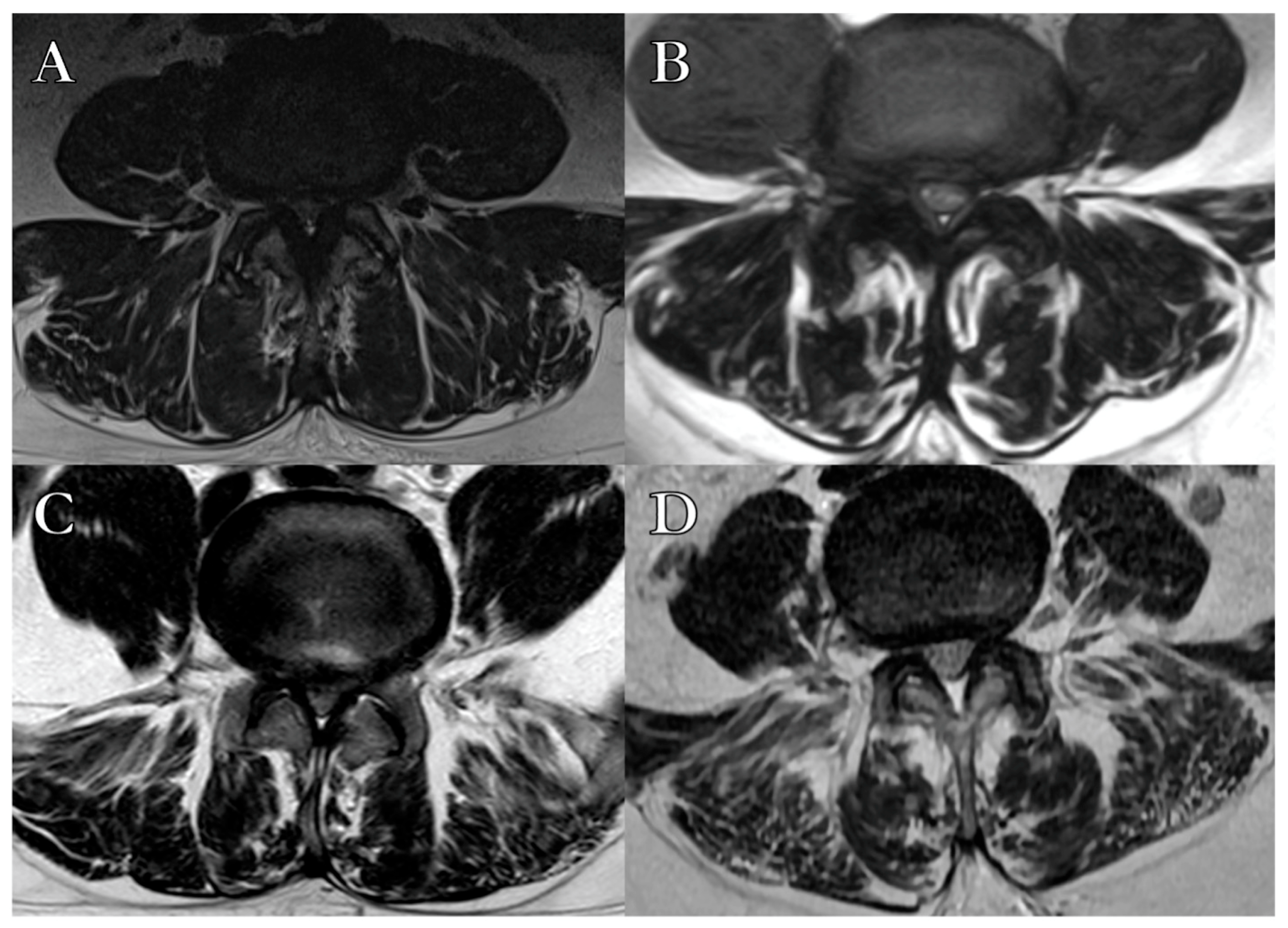 Brainsci 15 00674 g001