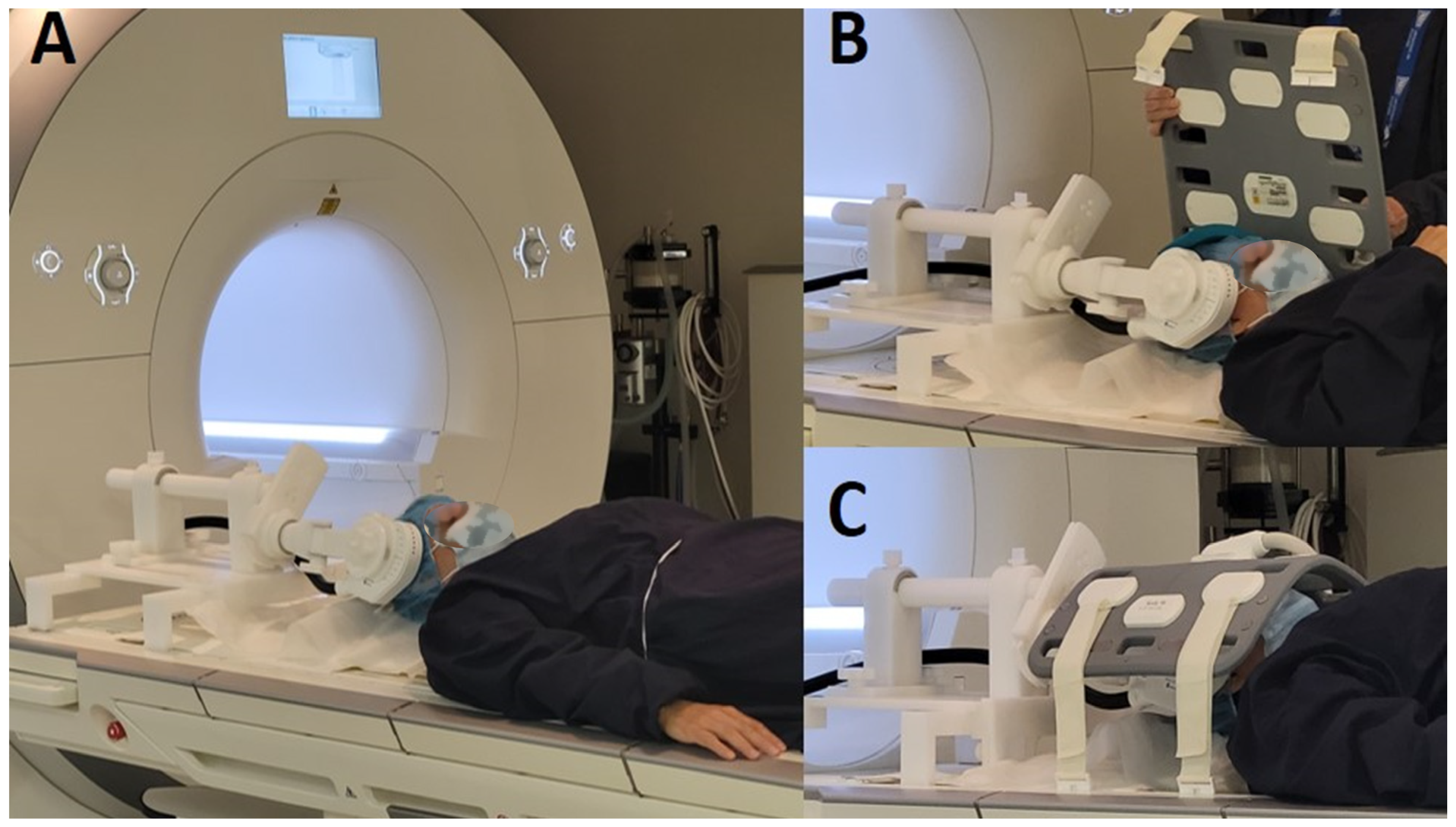 Brainsci 15 00680 g001