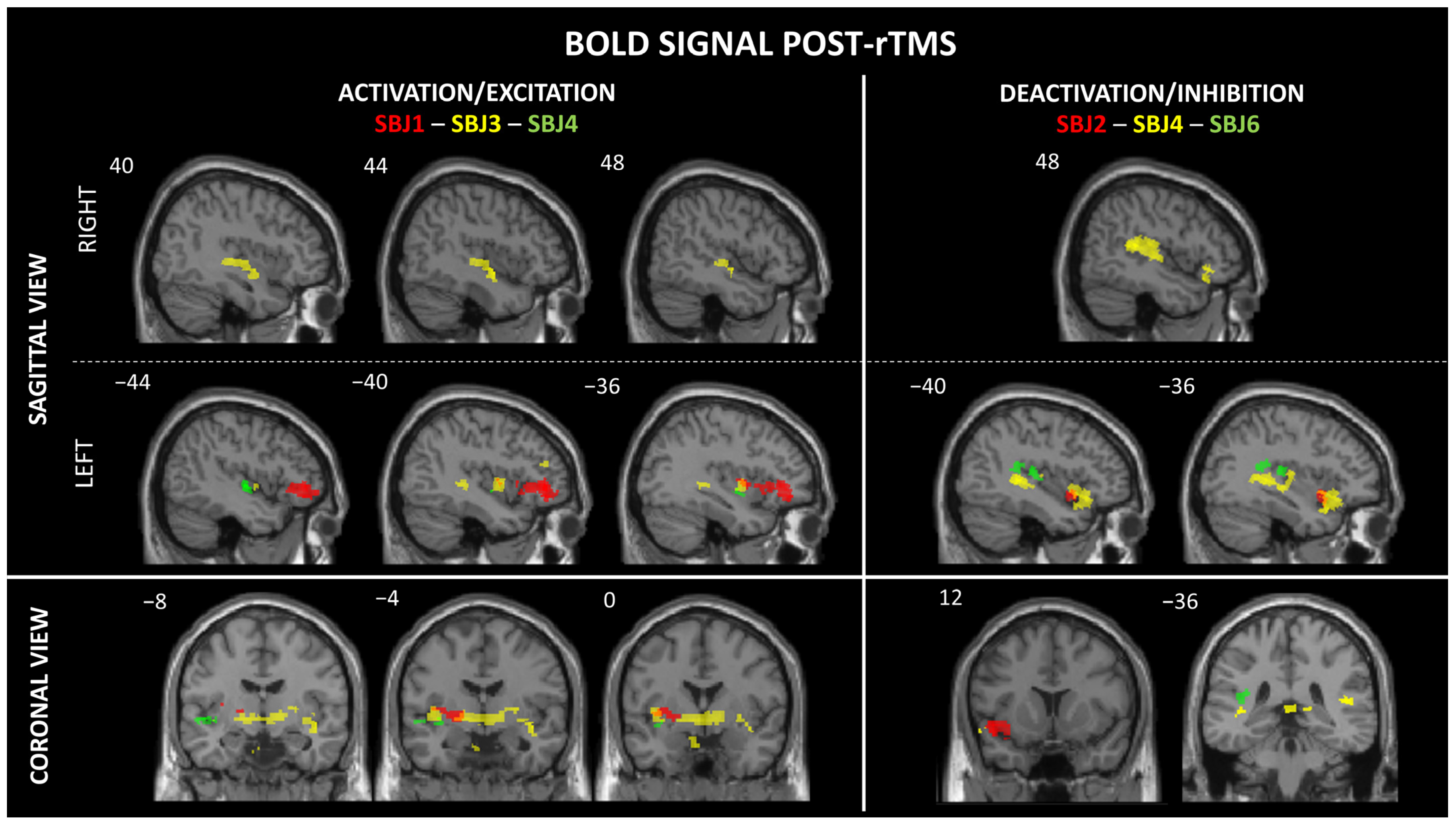 Brainsci 15 00680 g002