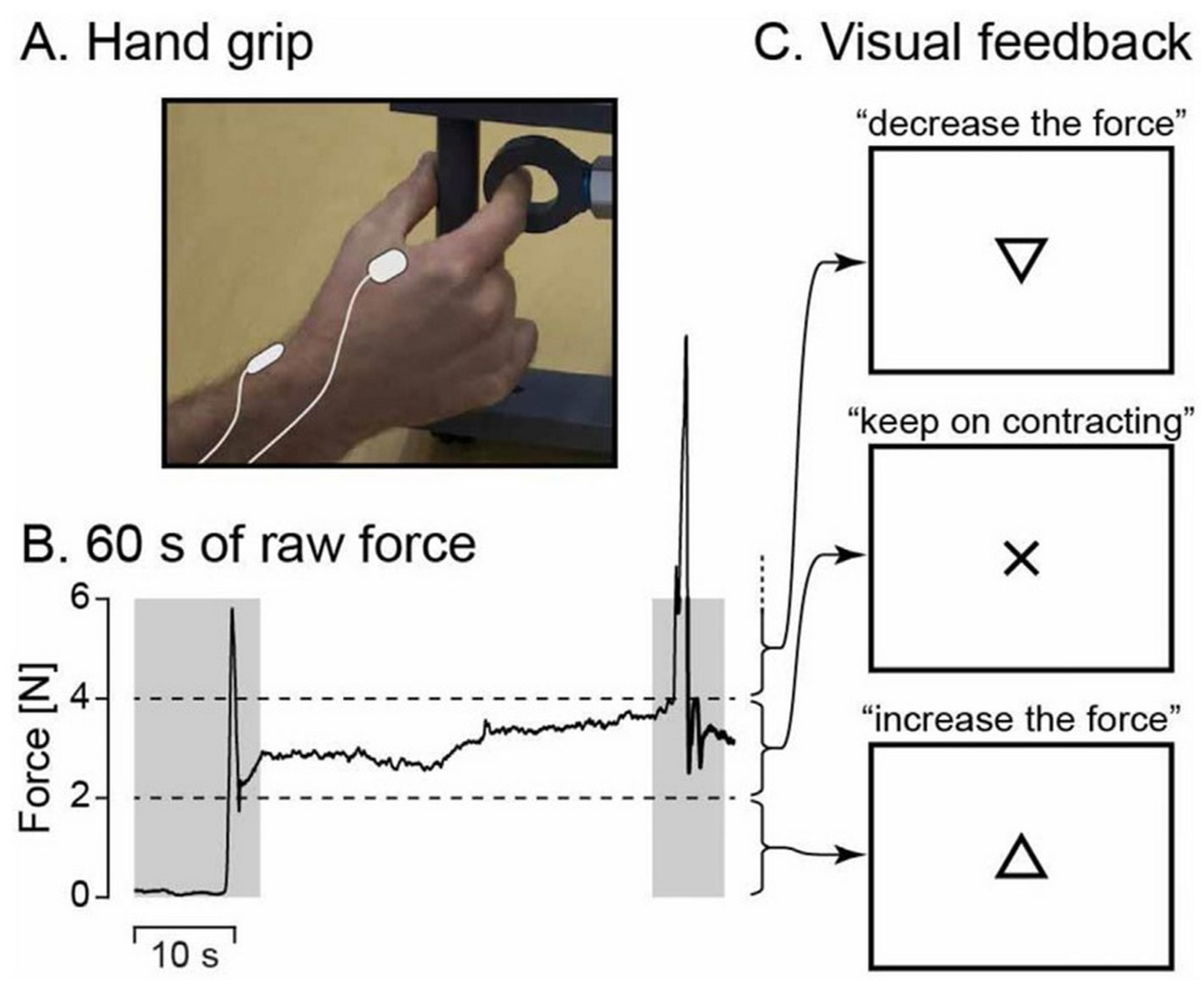 Brainsci 15 00681 g001