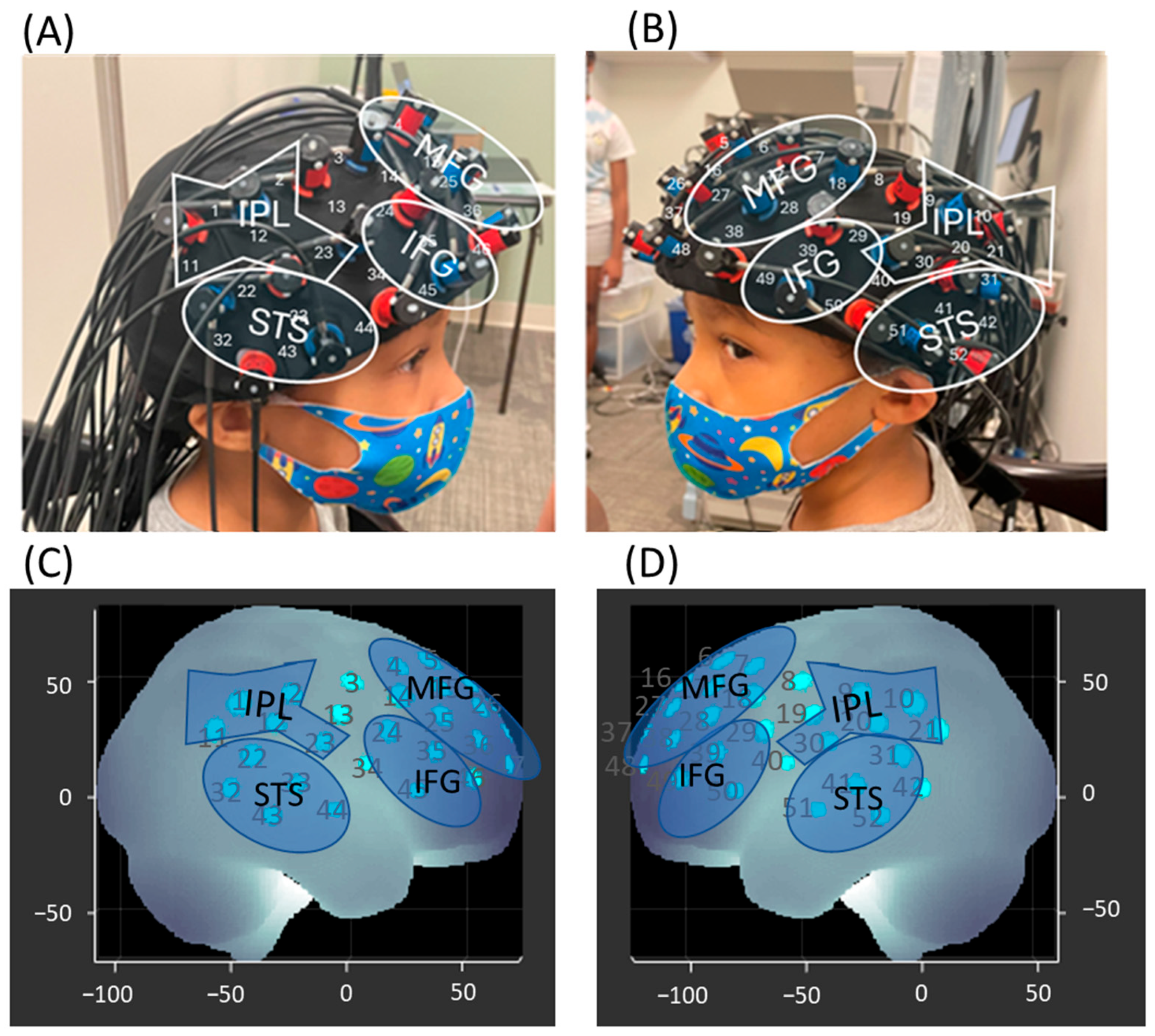 Brainsci 15 00683 g003