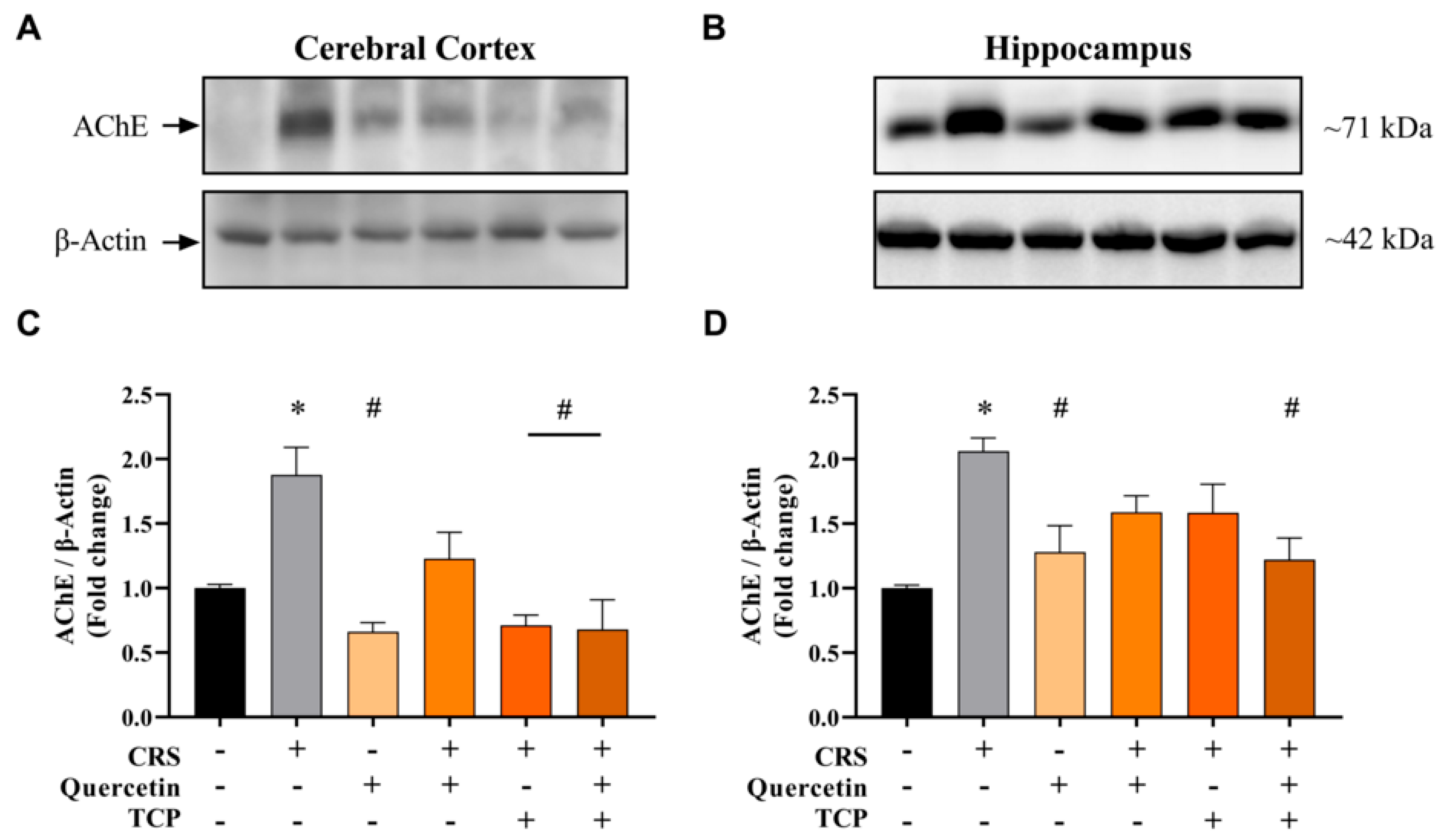 Brainsci 15 00709 g010