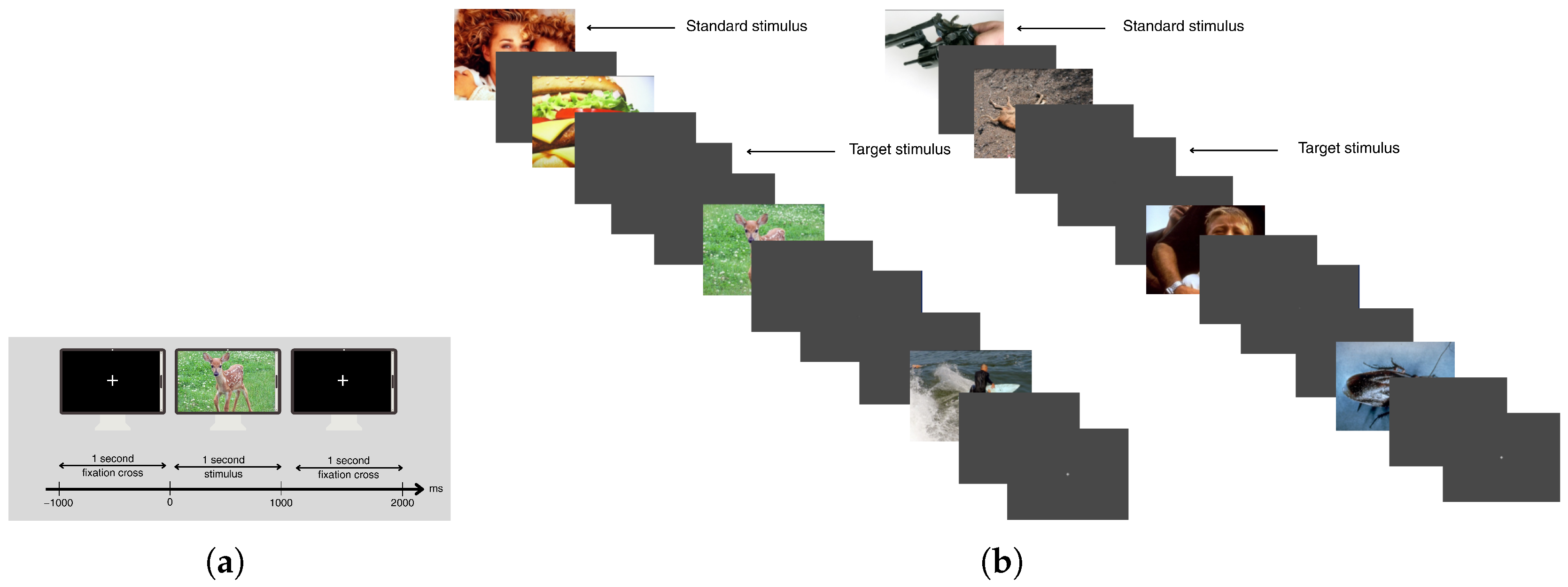Brainsci 15 00714 g001