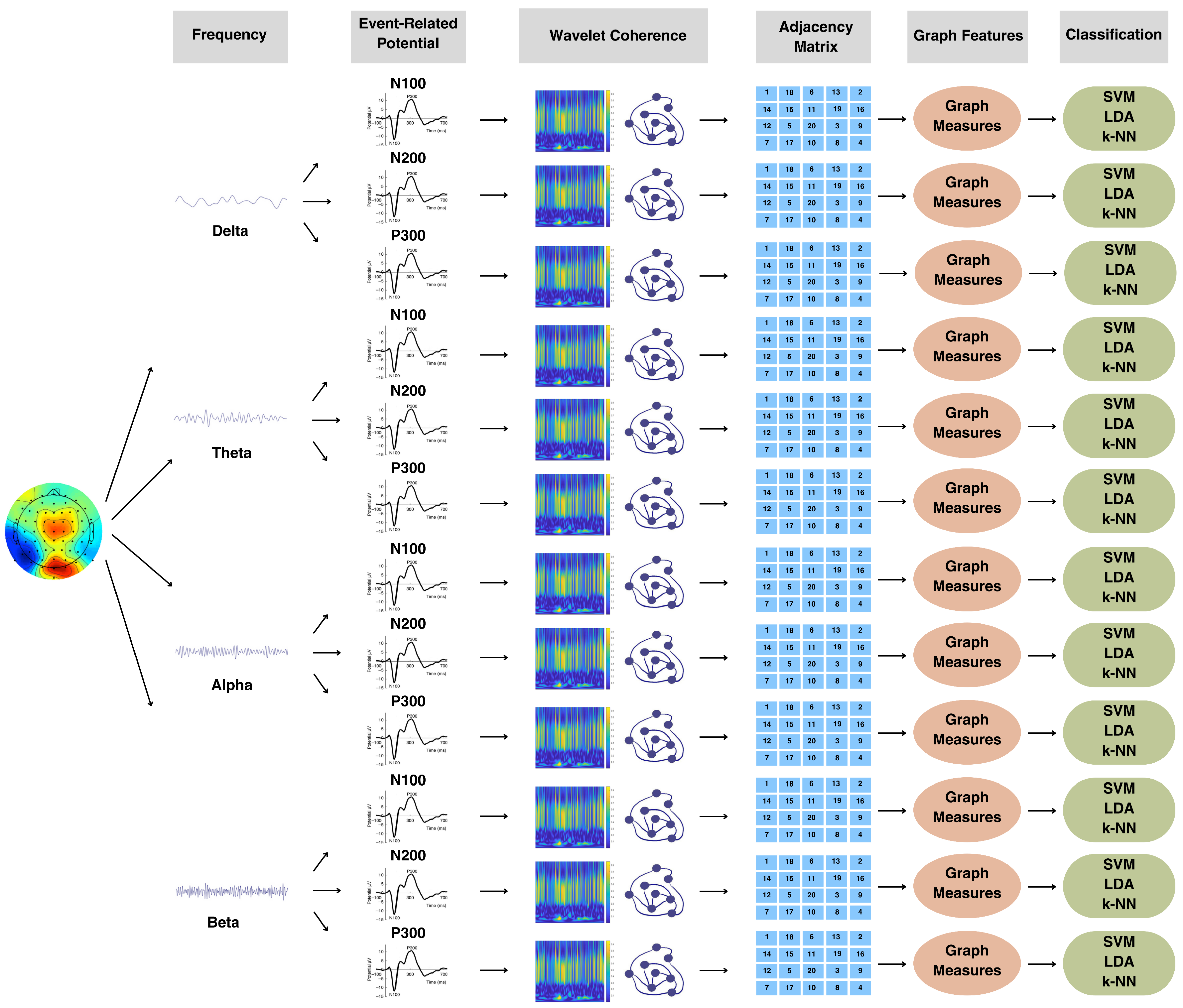 Brainsci 15 00714 g008