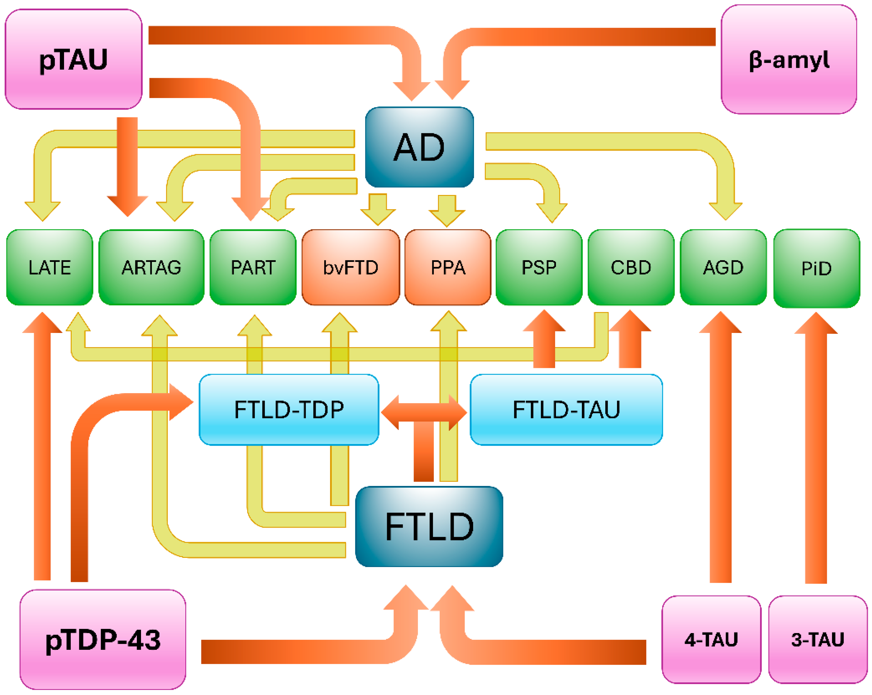 Brainsci 15 00716 g002