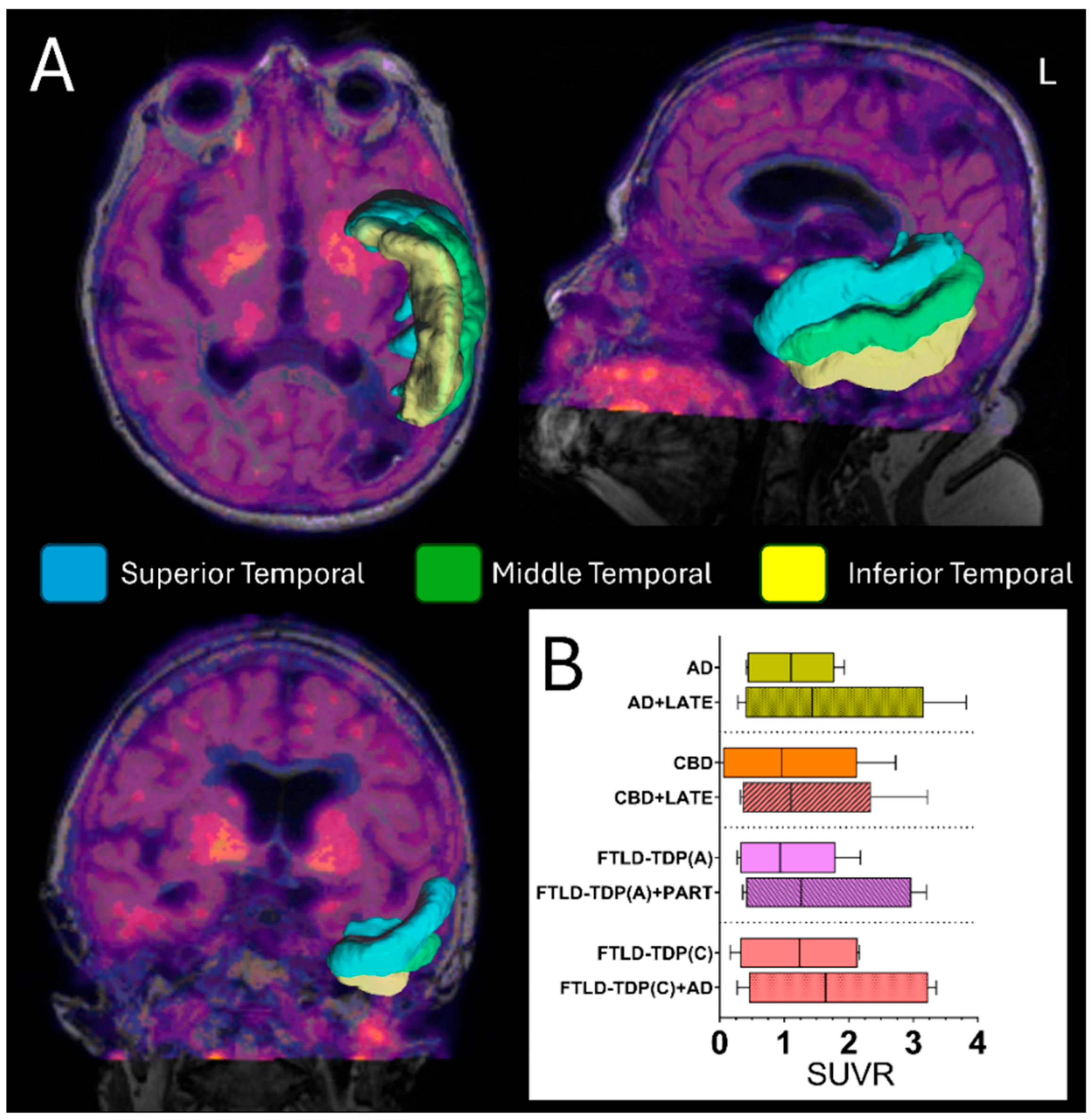 Brainsci 15 00716 g006