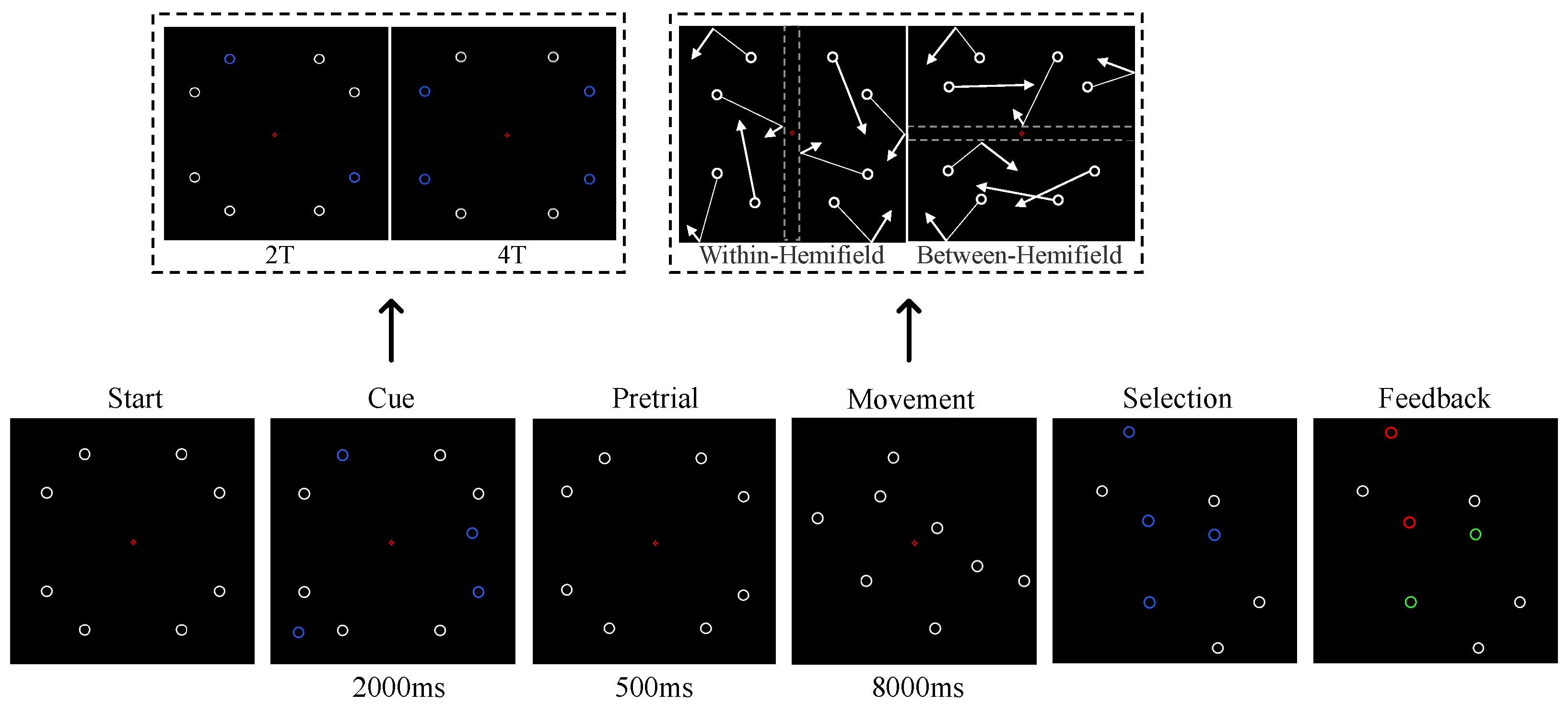 Brainsci 15 00722 g001