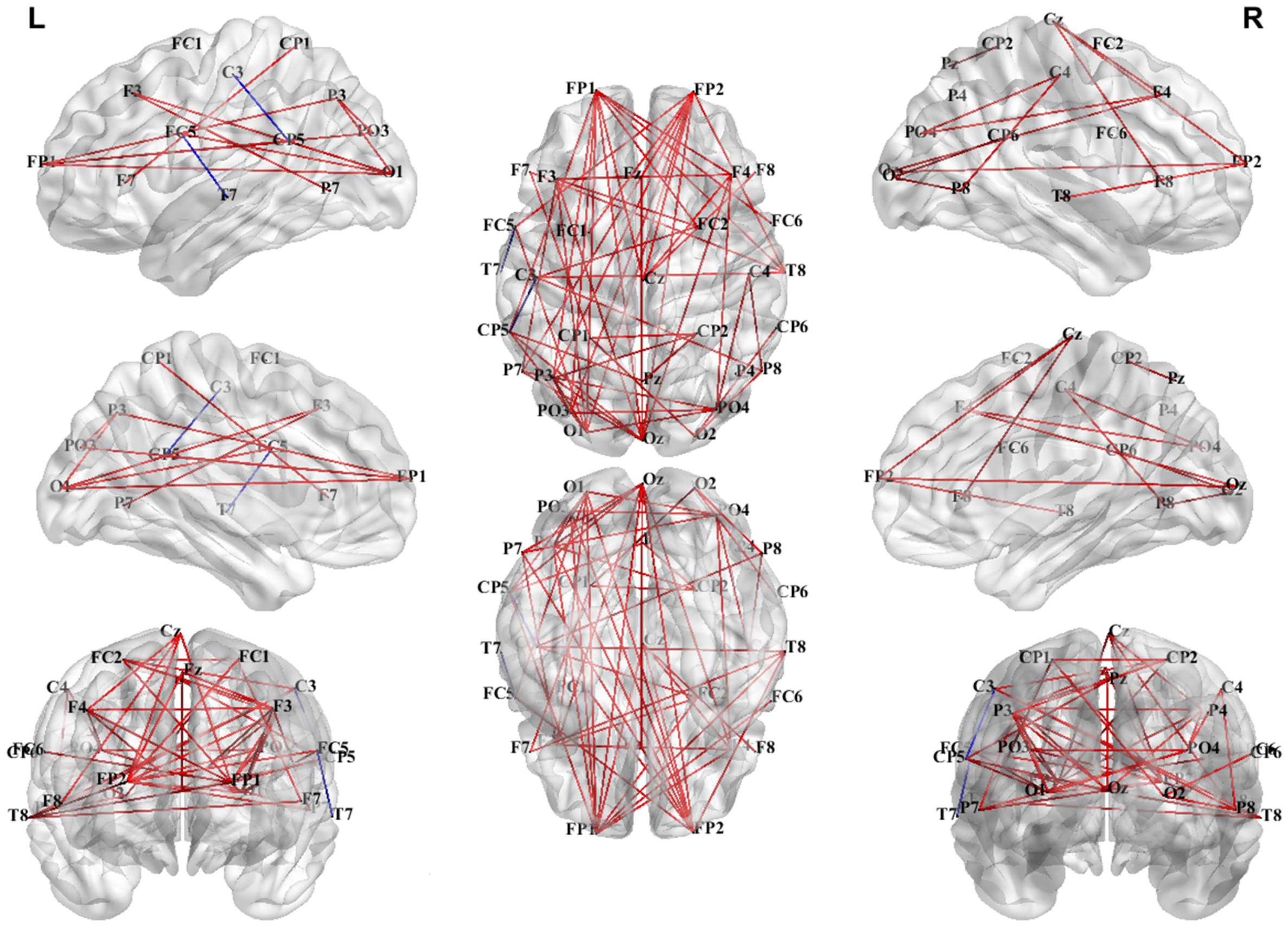 Brainsci 15 00722 g009
