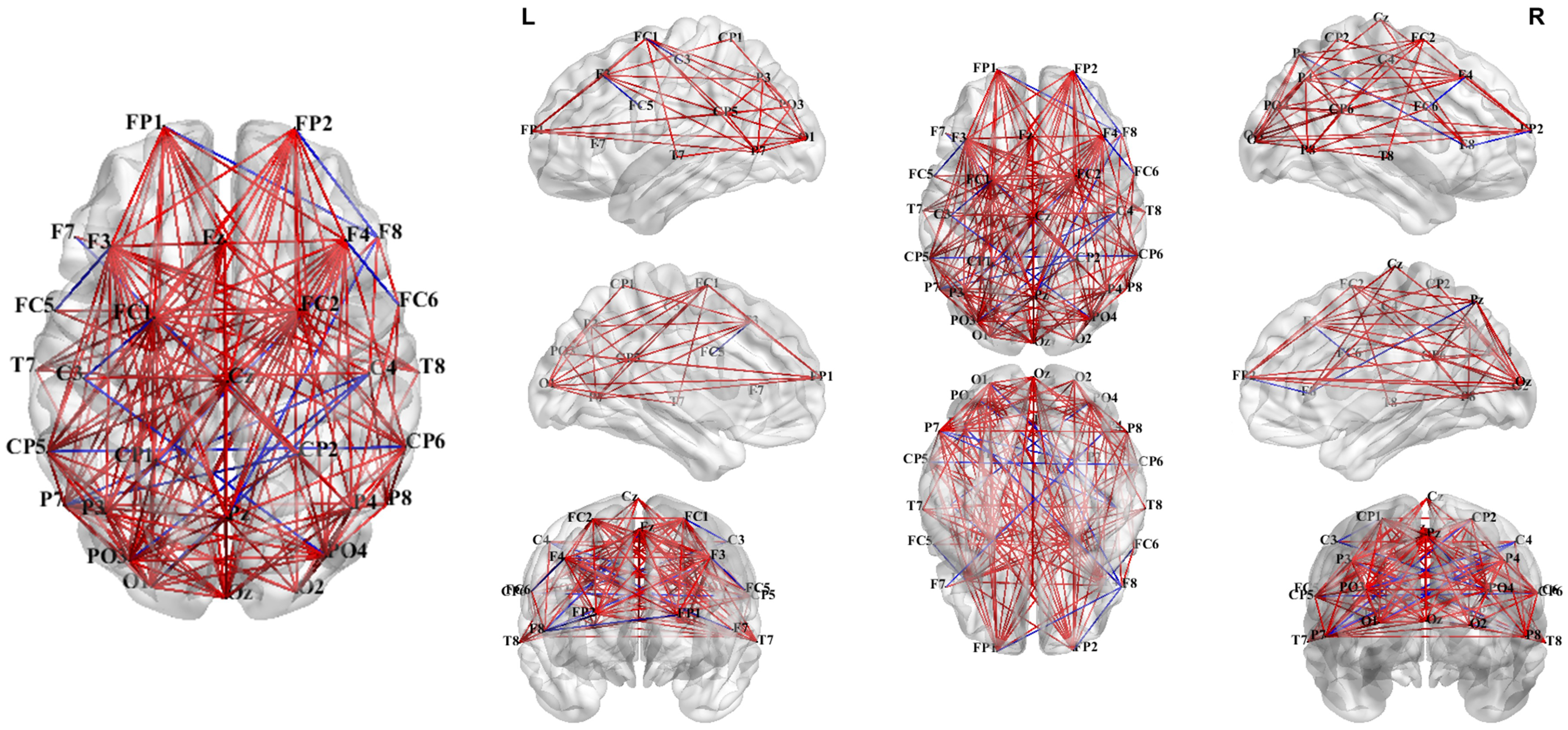 Brainsci 15 00722 g010