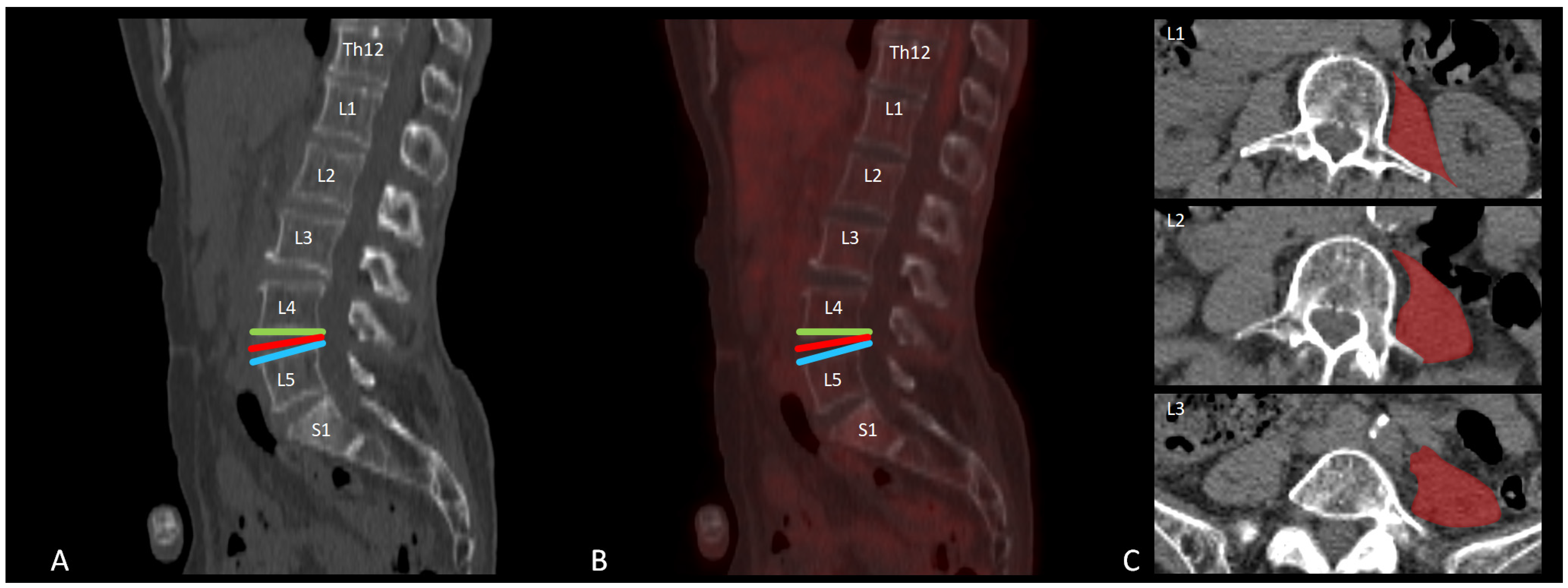 Brainsci 15 00724 g001