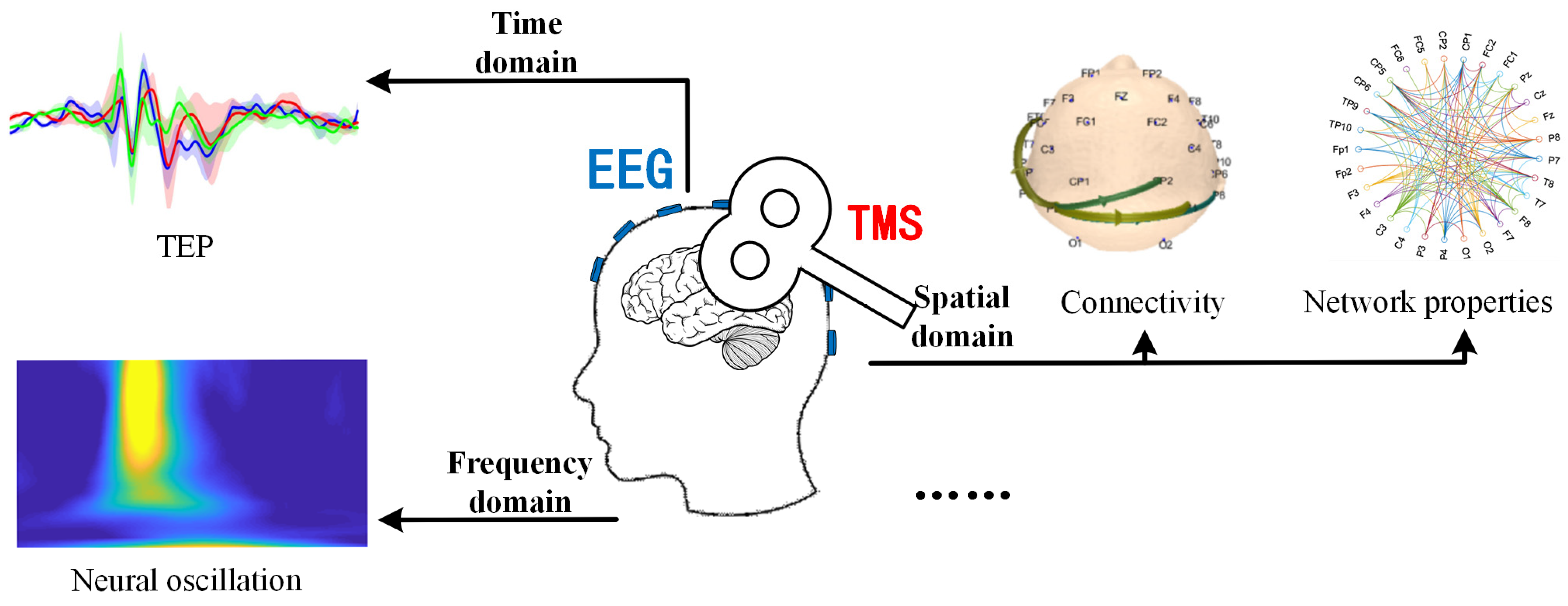 PDD State-Dependent Transcranial Magnetic Stimulation