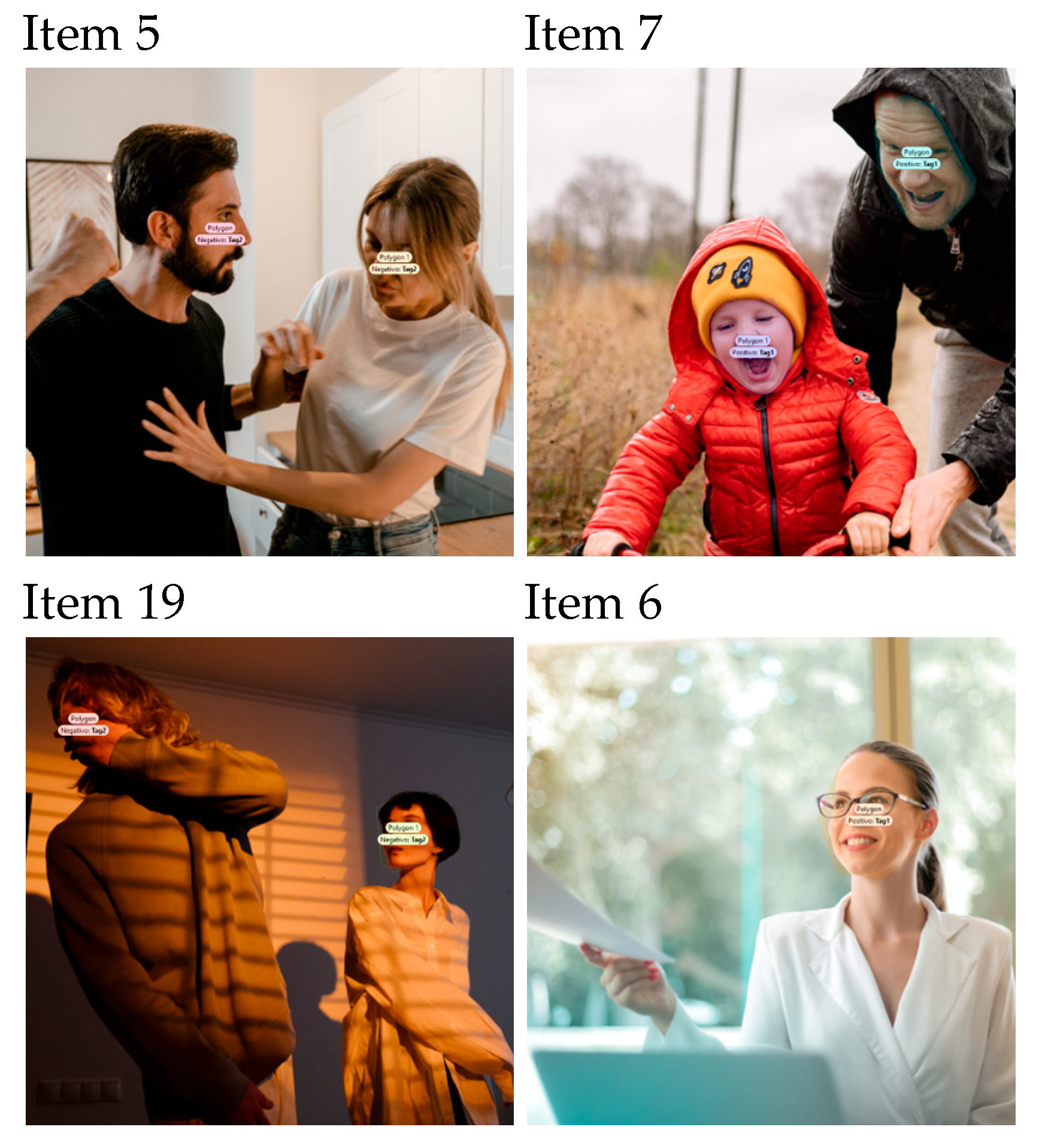 Brainsci 15 00732 g001