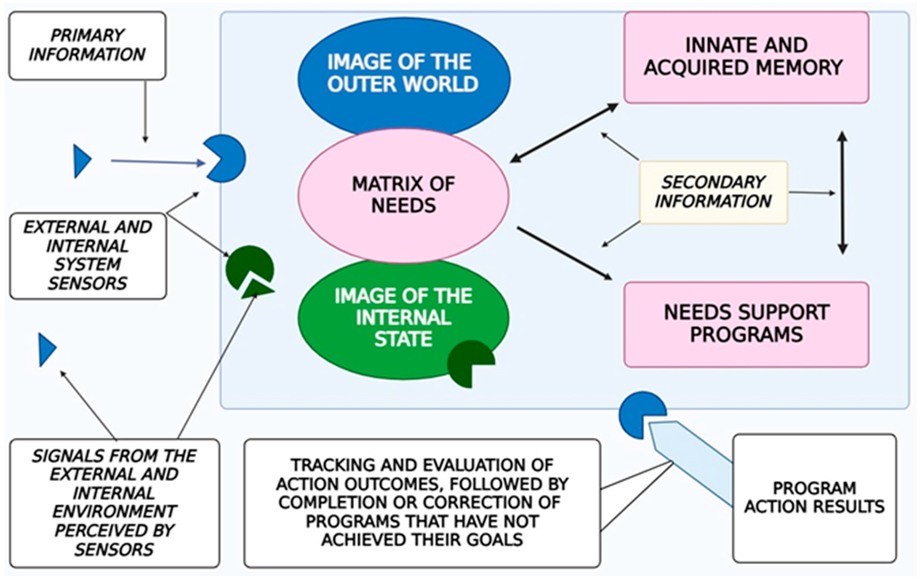 Brainsci 15 00734 g001 Brainsci 15 00734 g001