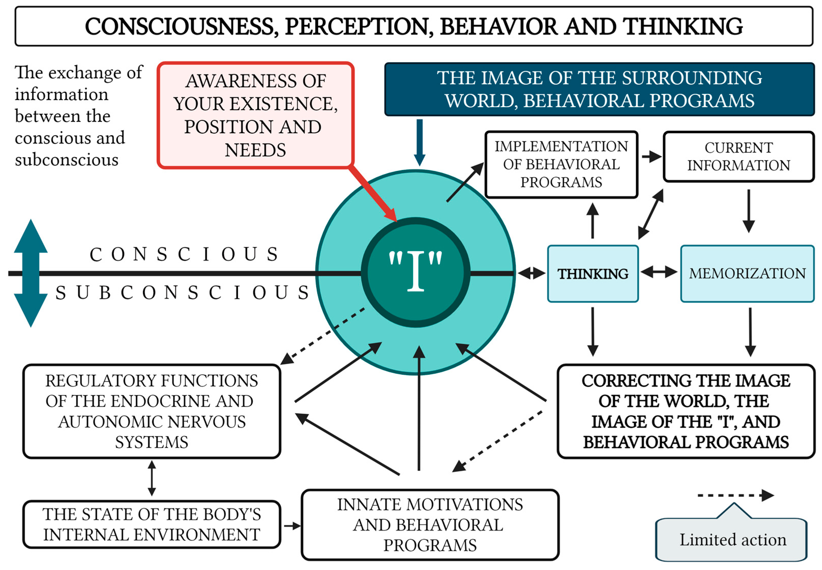 Brainsci 15 00734 g002 Brainsci 15 00734 g002