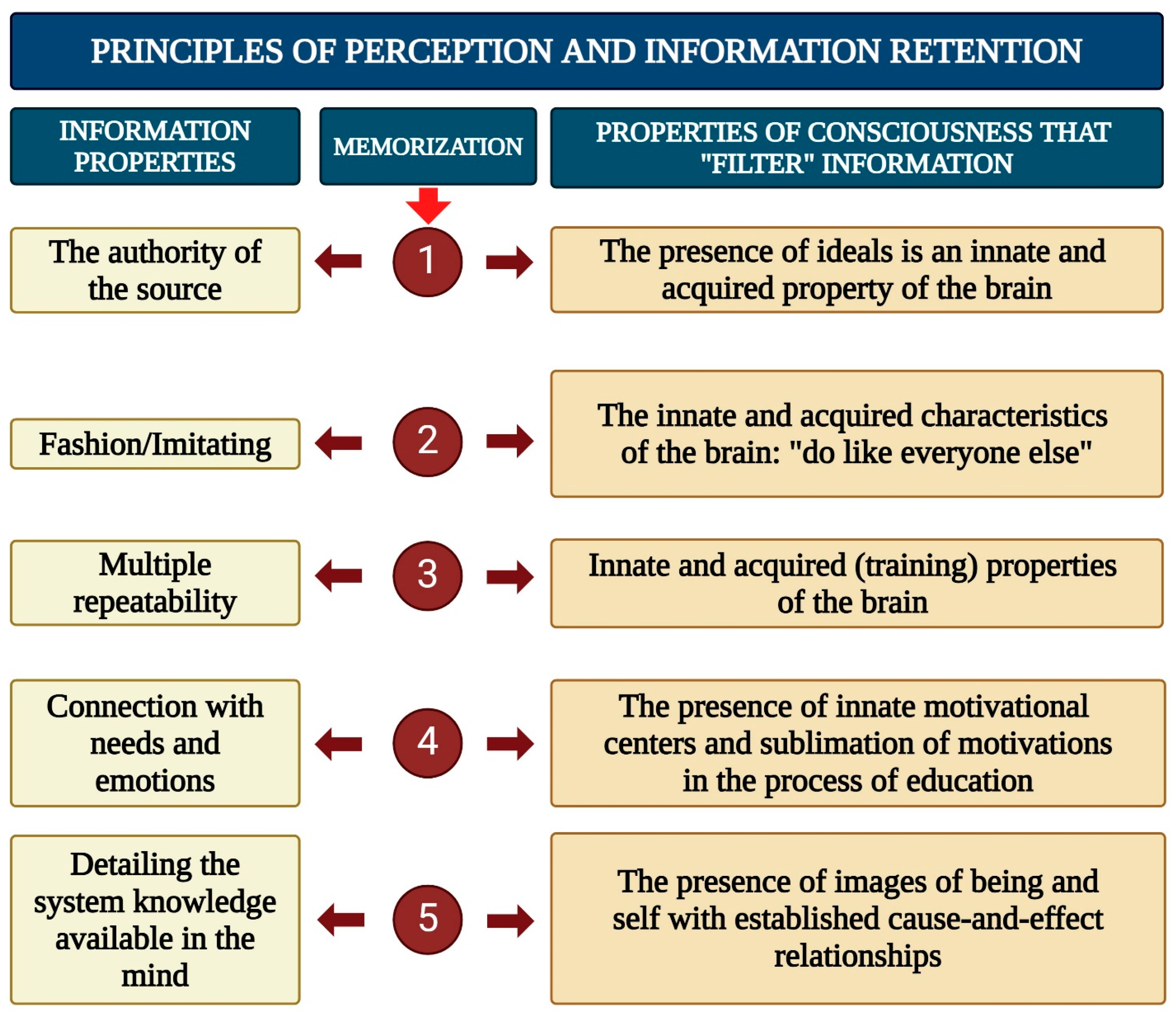 Brainsci 15 00734 g003 Brainsci 15 00734 g003