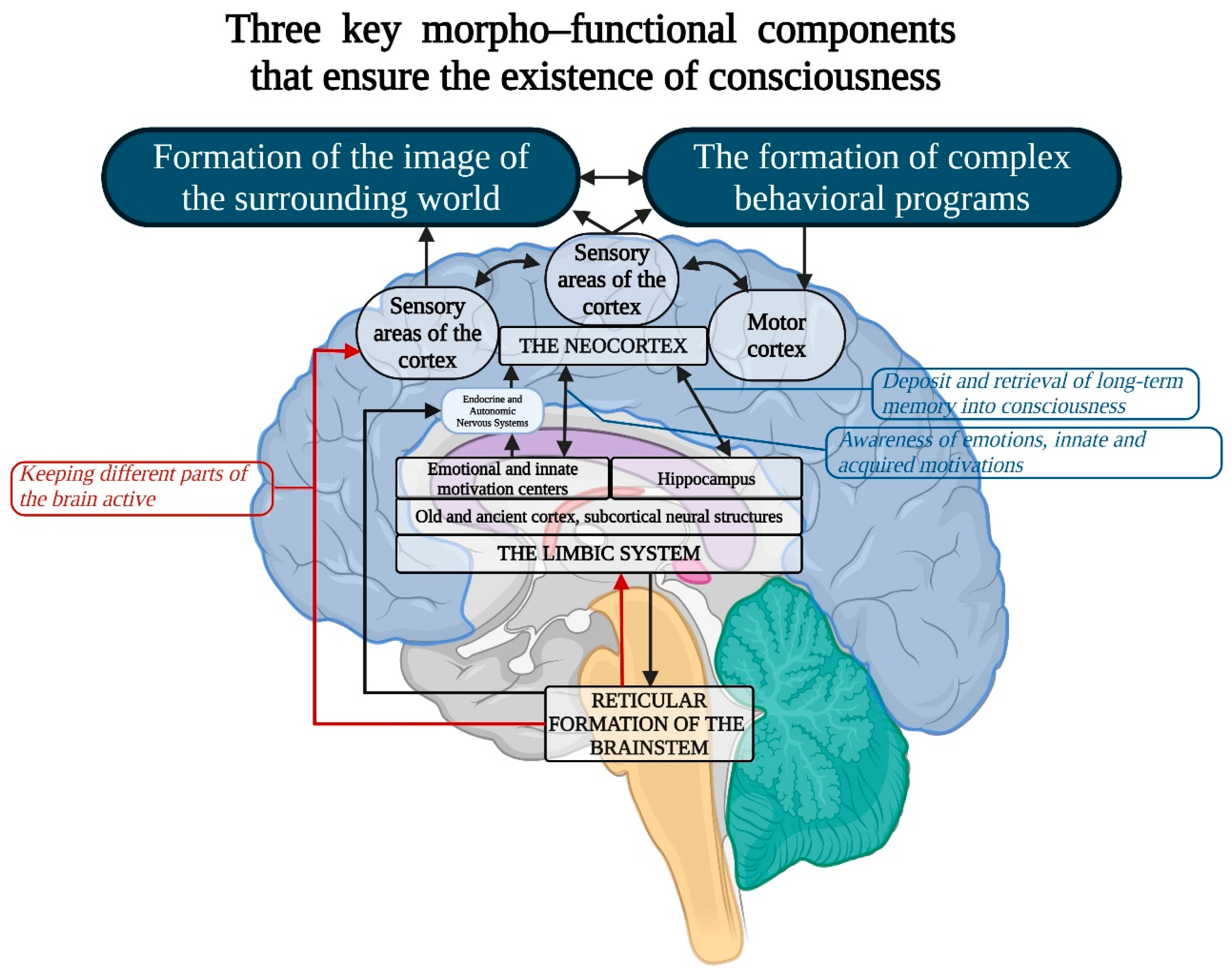 Brainsci 15 00734 g004 Brainsci 15 00734 g004