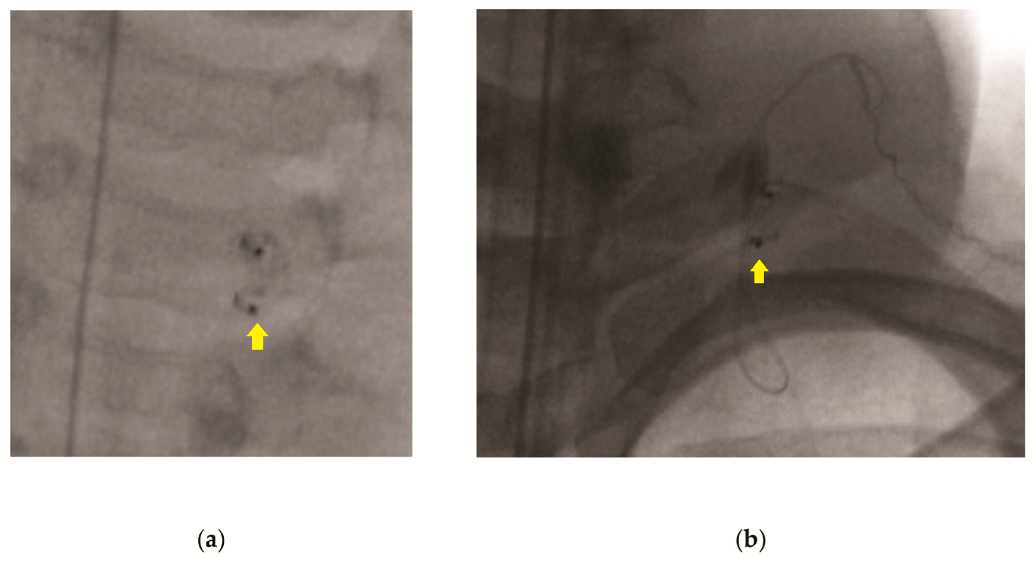 Brainsci 15 00738 g001