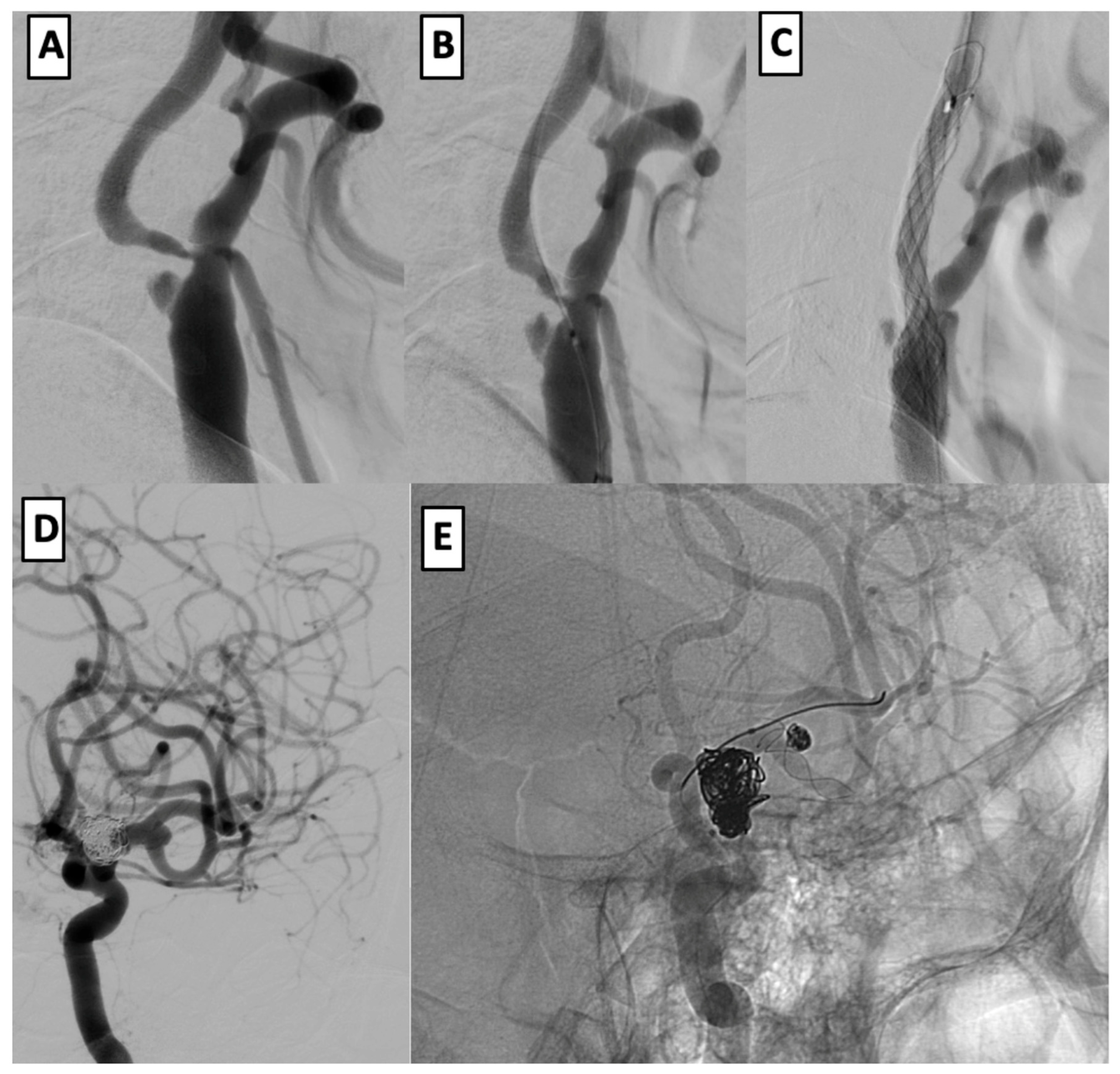 Brainsci 15 00744 g002