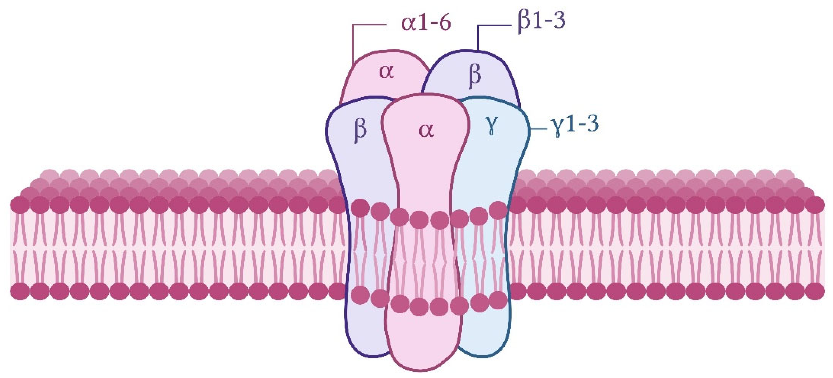 Brainsci 15 00746 g001