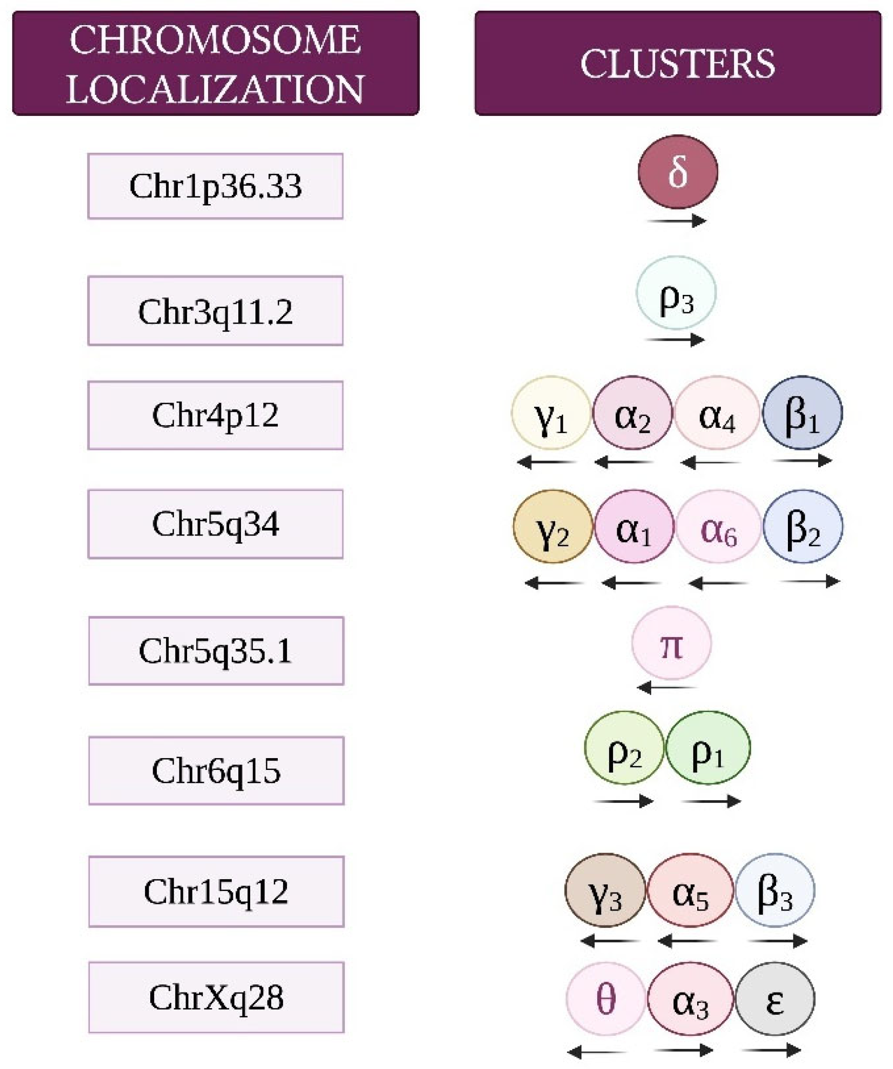 Brainsci 15 00746 g002