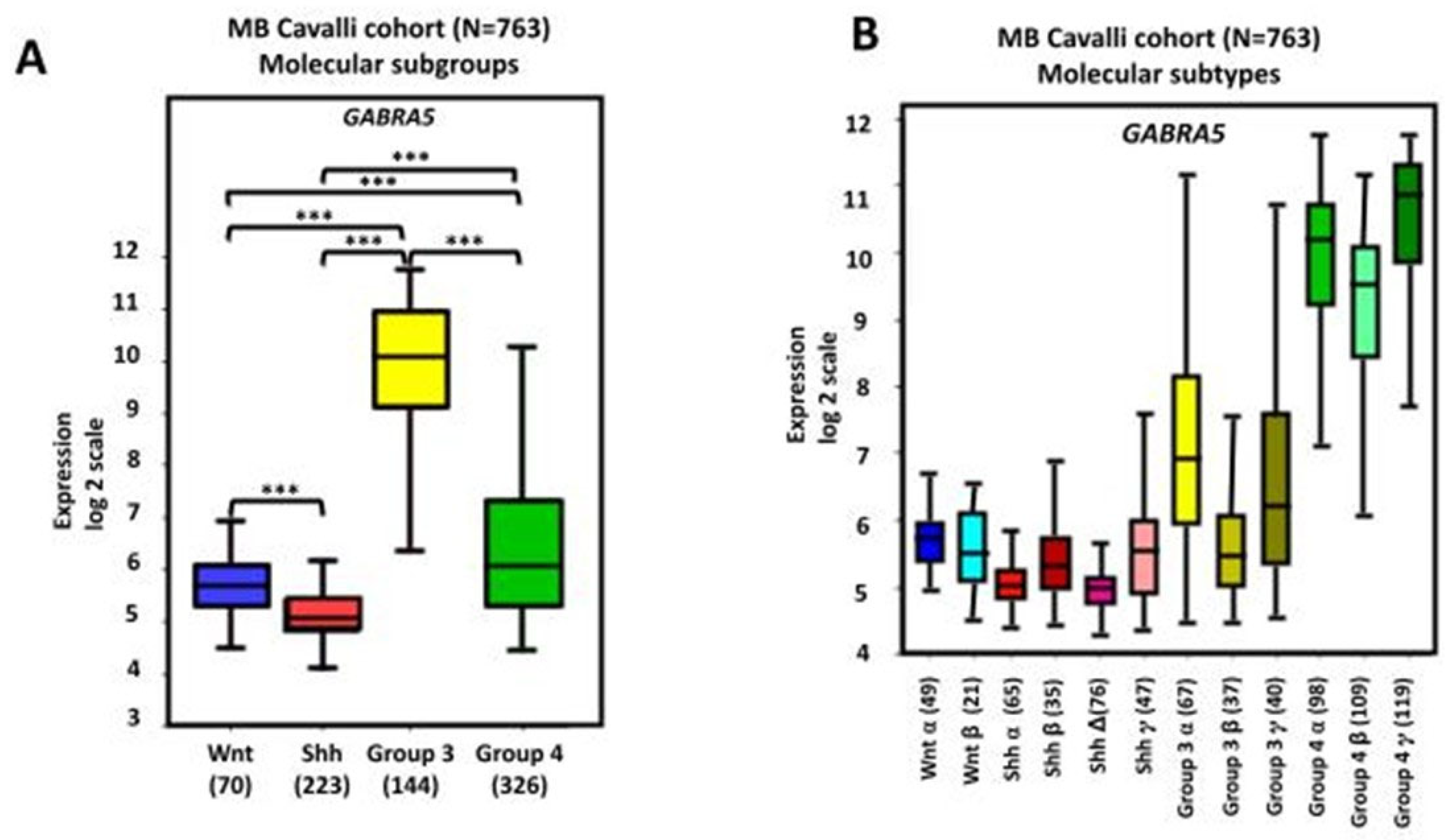 Brainsci 15 00746 g003