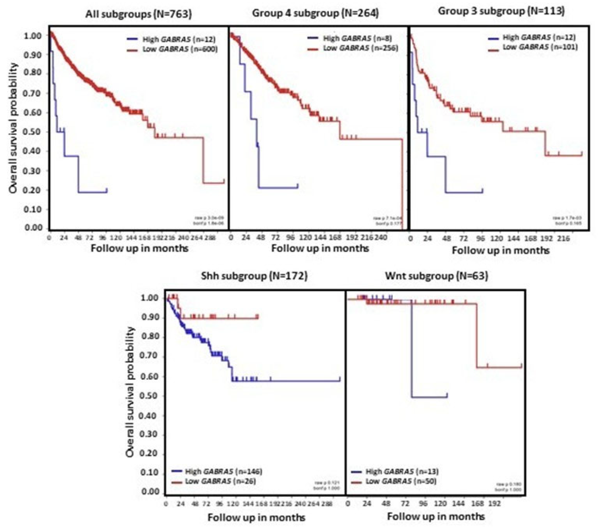 Brainsci 15 00746 g004