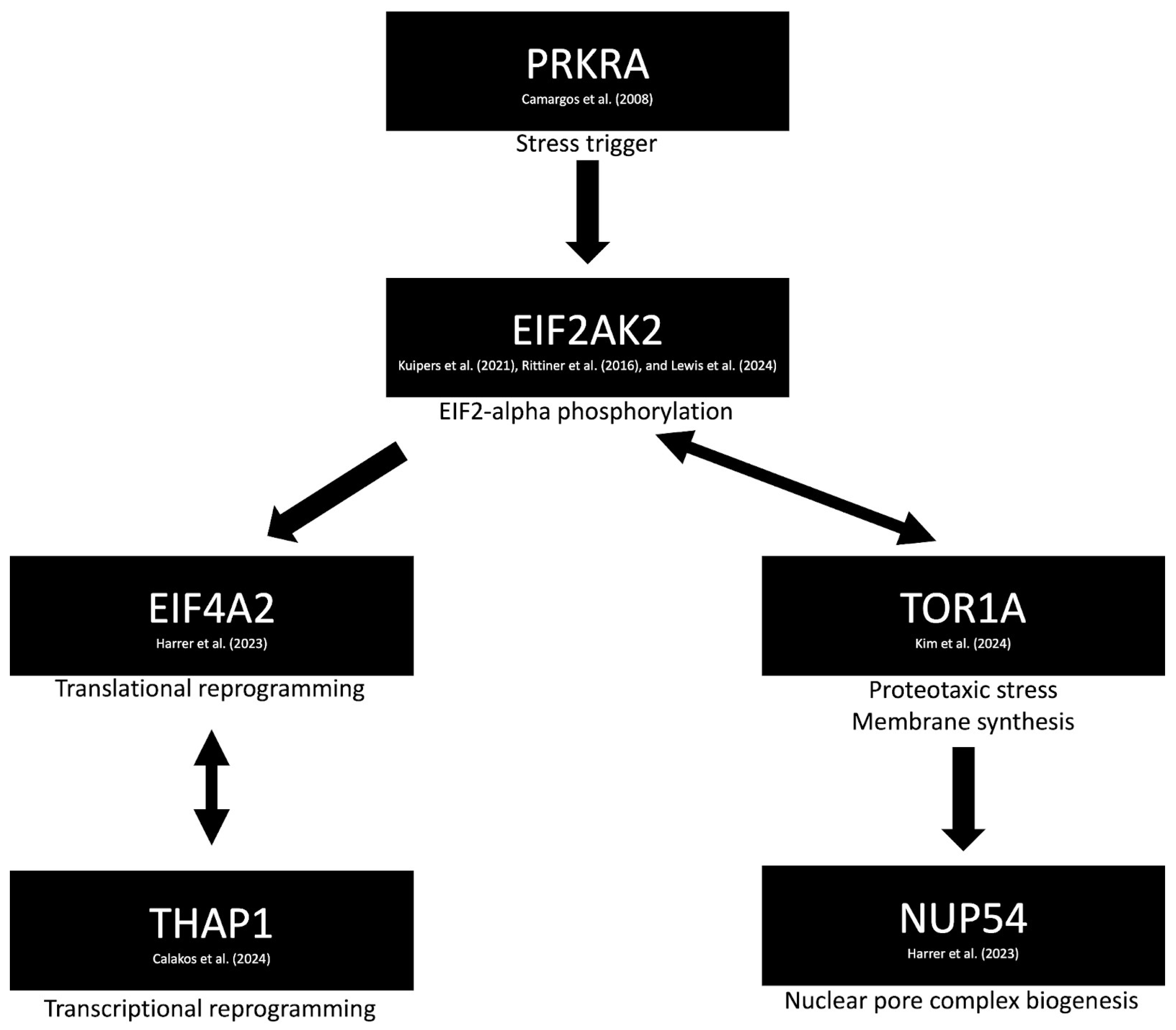 Brainsci 15 00767 g001
