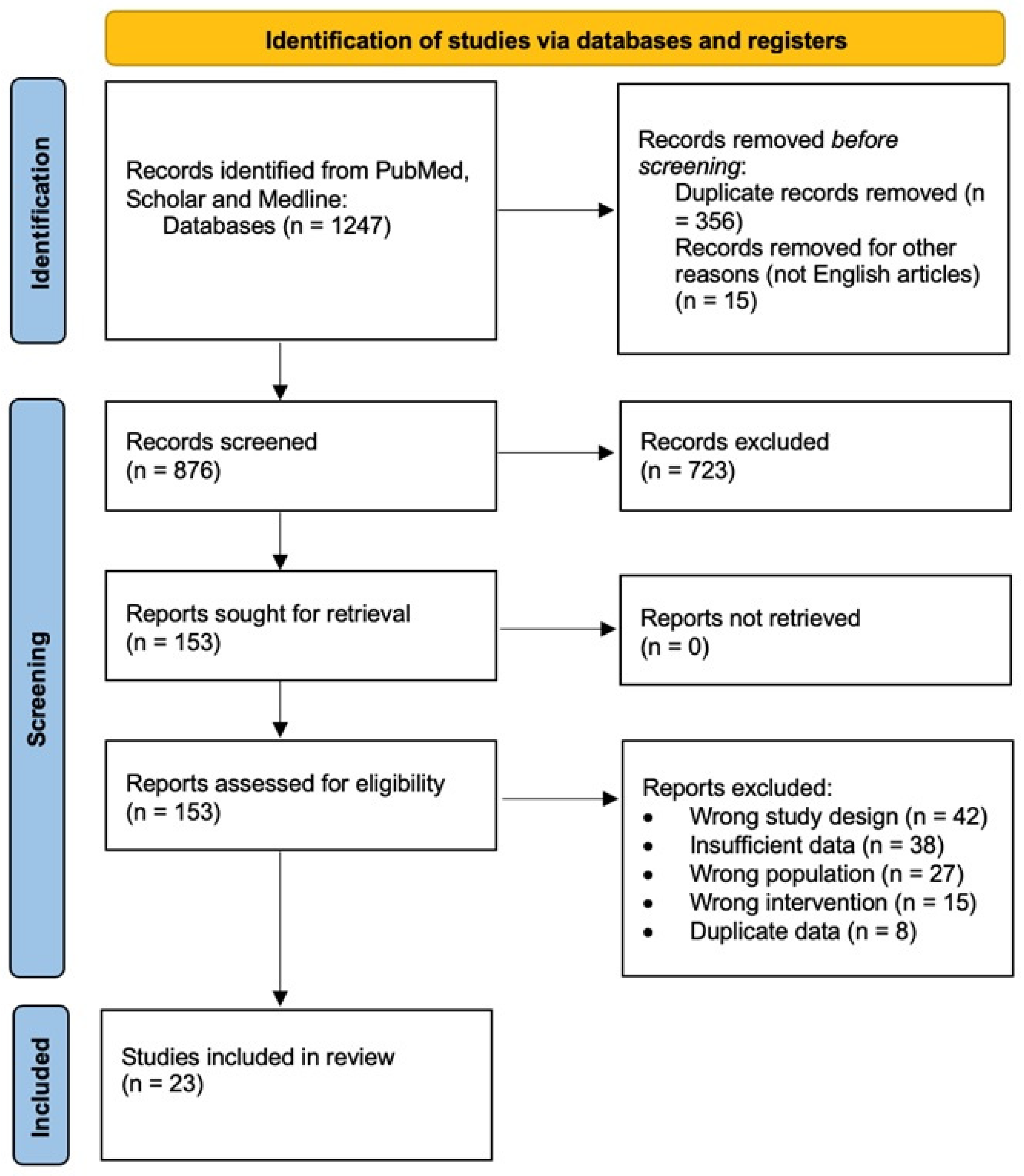 Brainsci 15 00768 g001
