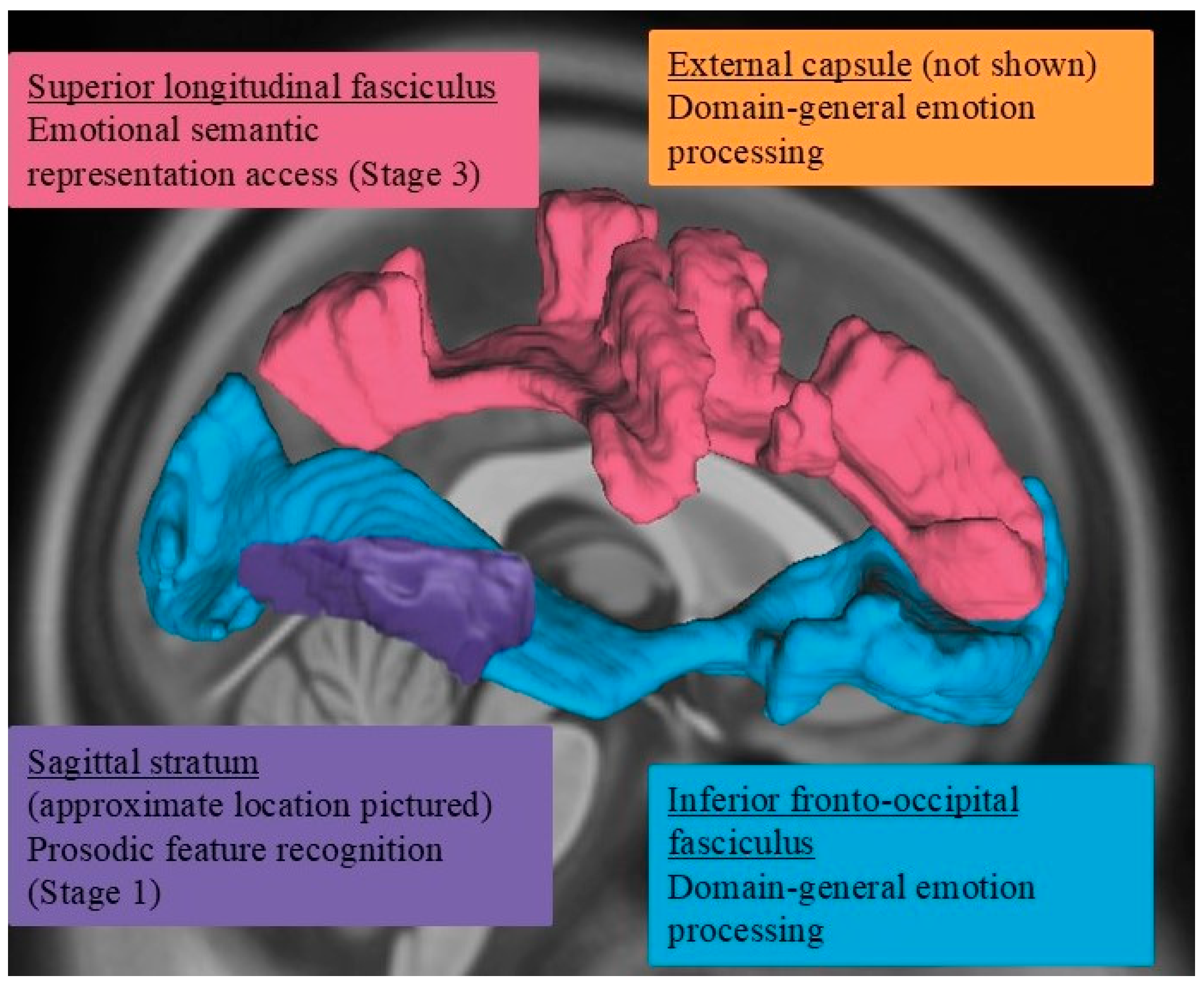 Brainsci 15 00769 g006