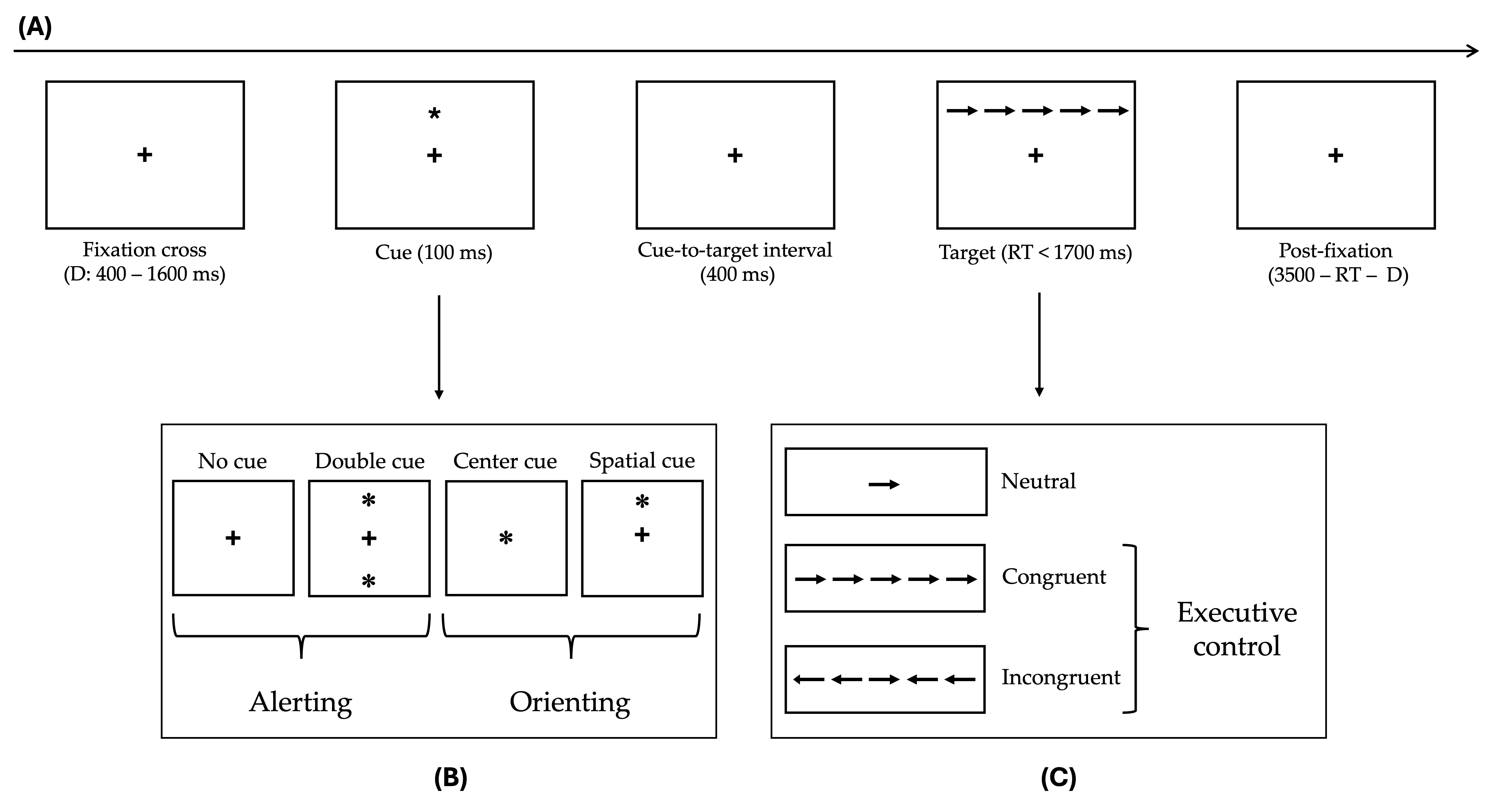 Brainsci 15 00770 g001