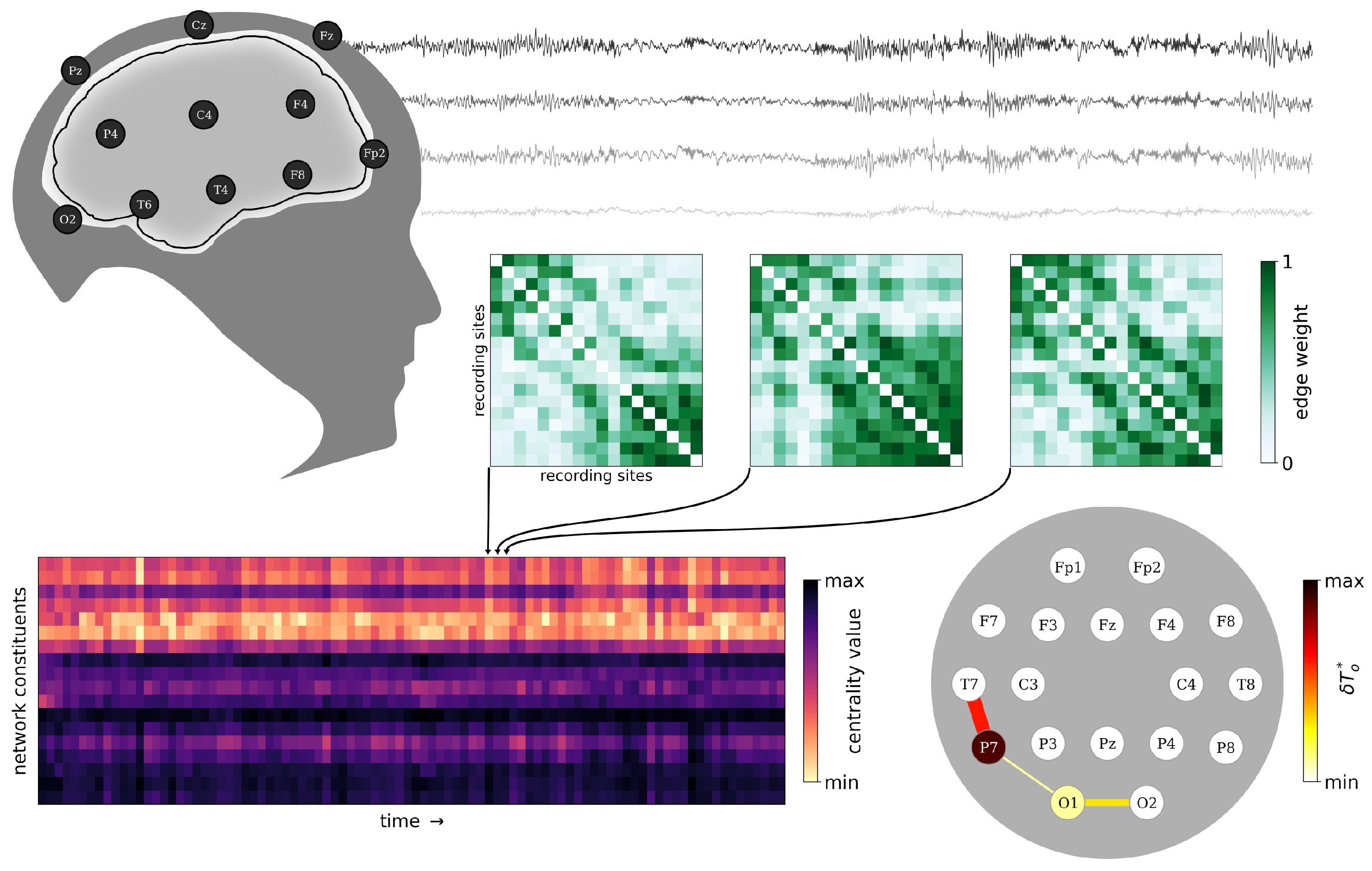 Brainsci 15 00772 g001
